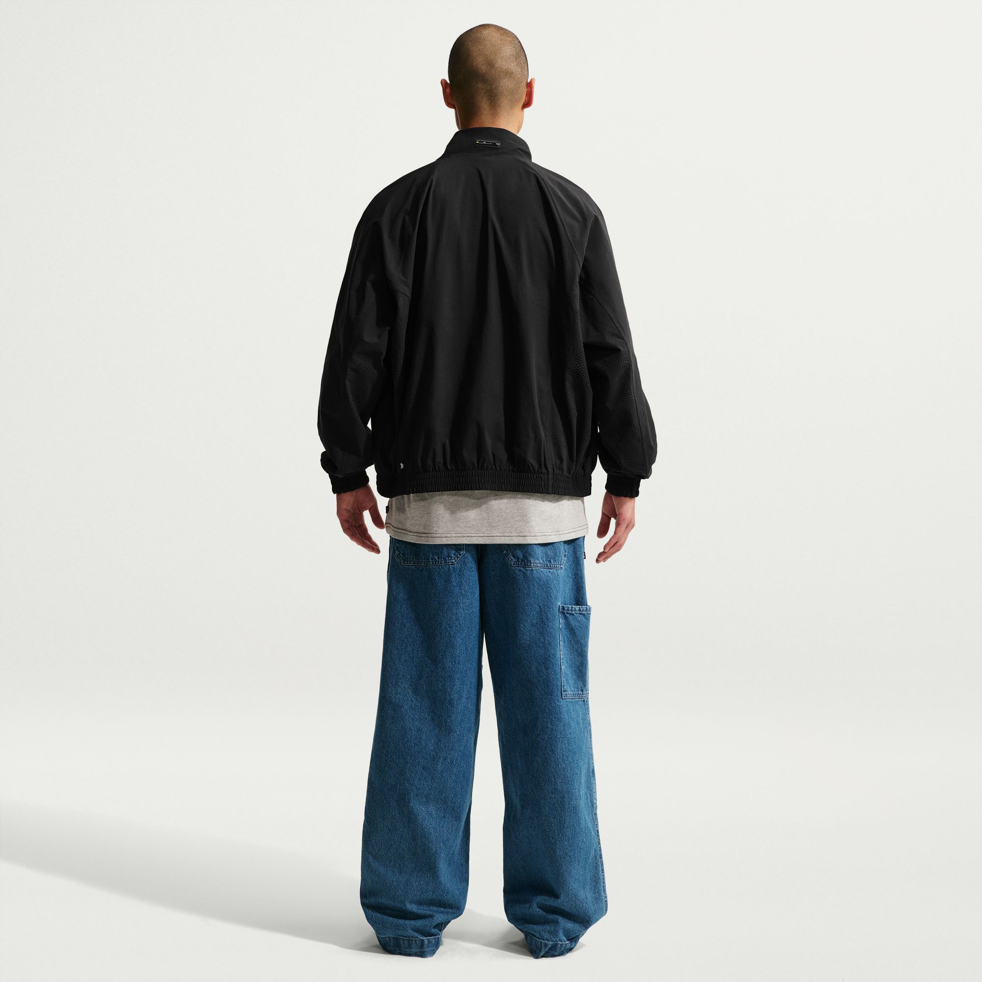 Ishod Wair Nike SB Ishod image number 1