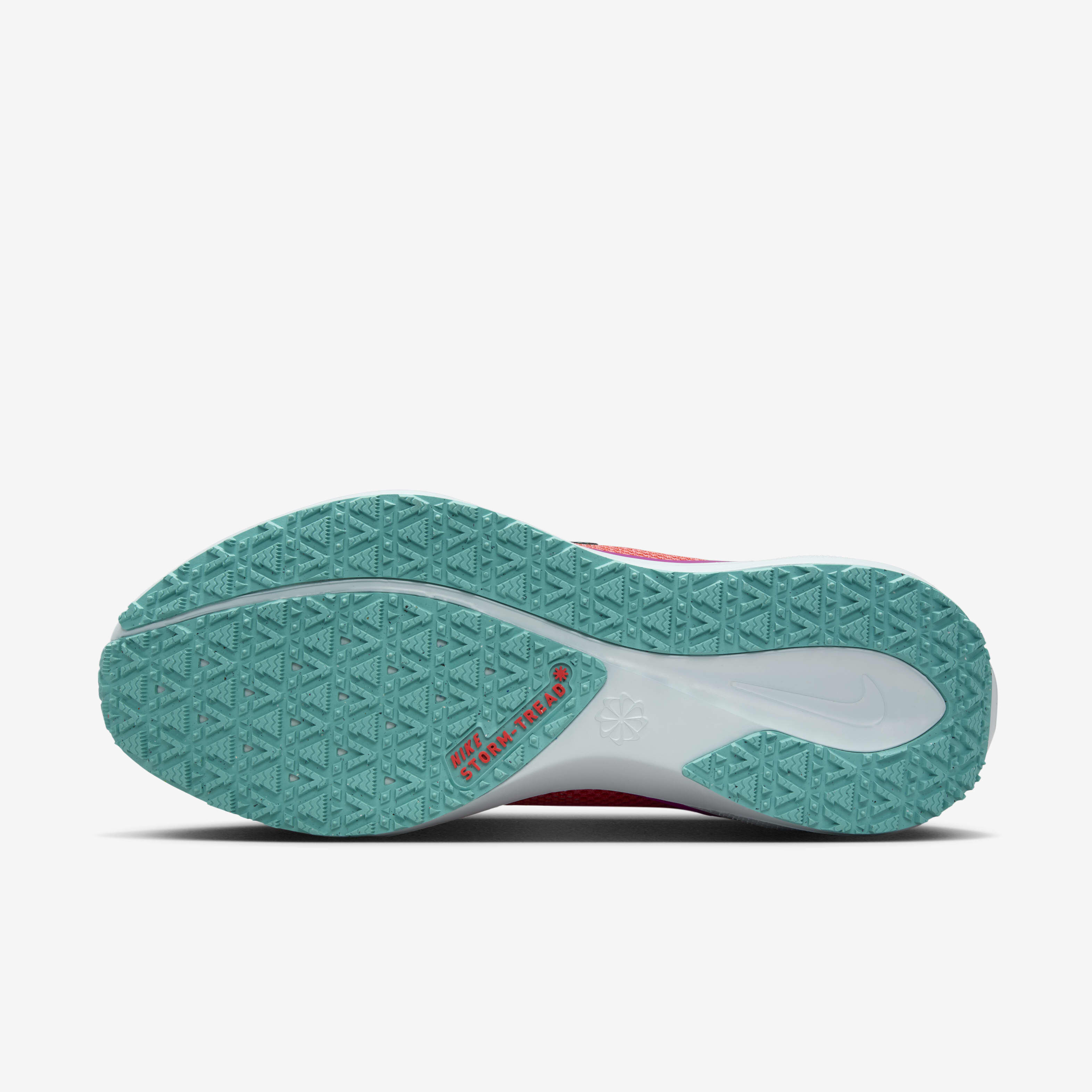 Nike Pegasus 41 GORE-TEX image number 1