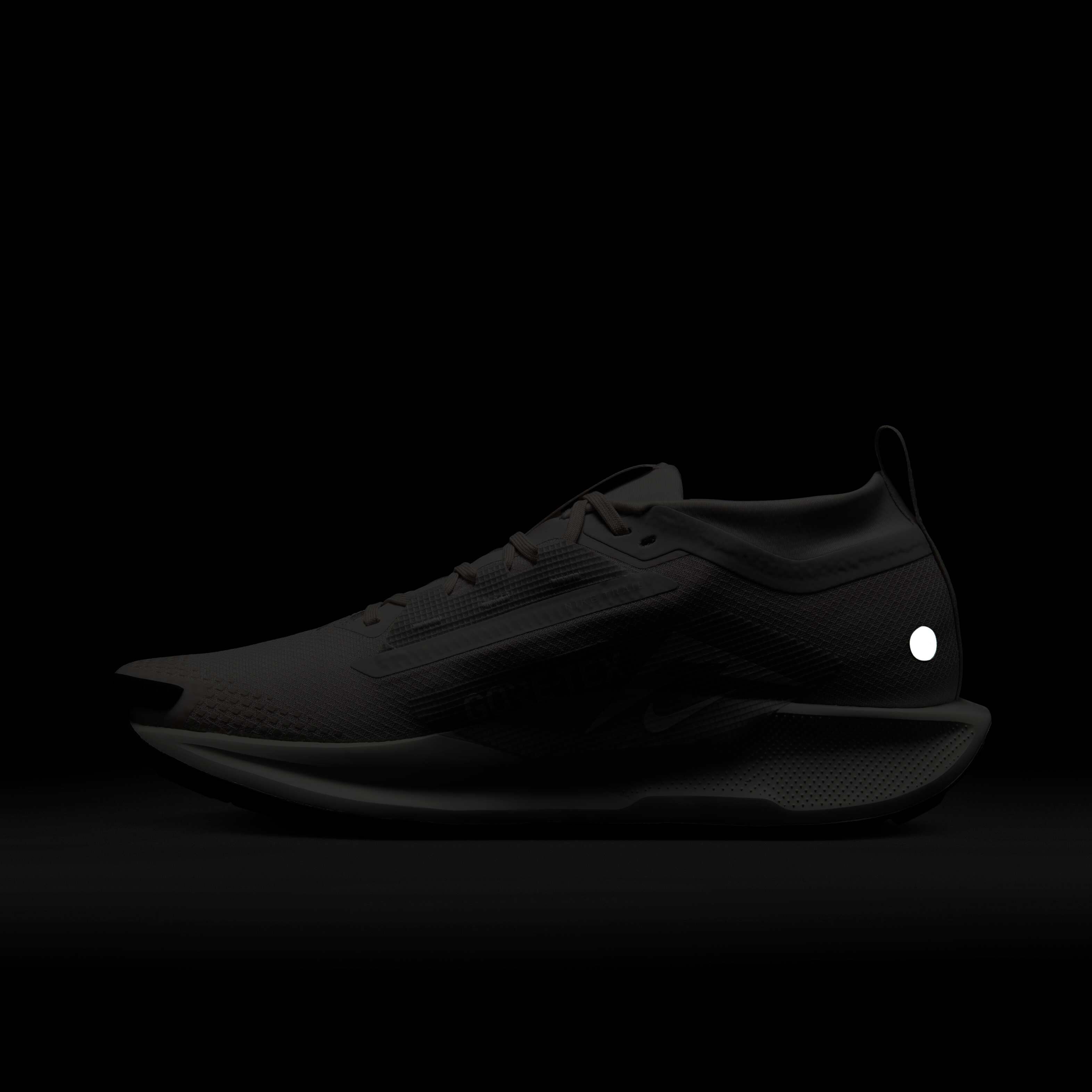 Nike Pegasus Trail 5 GORE-TEX image number 10