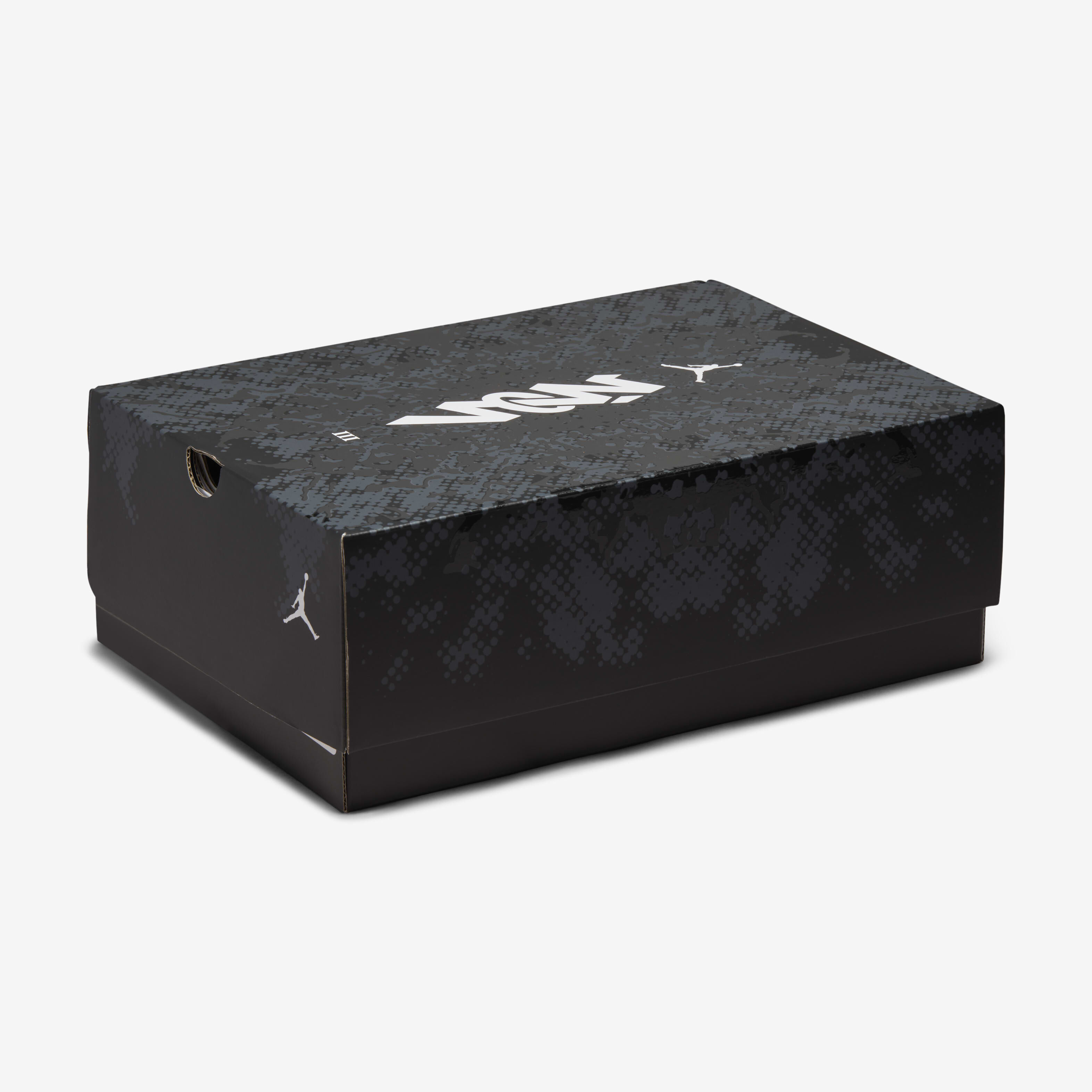 Zion 3 image number 10