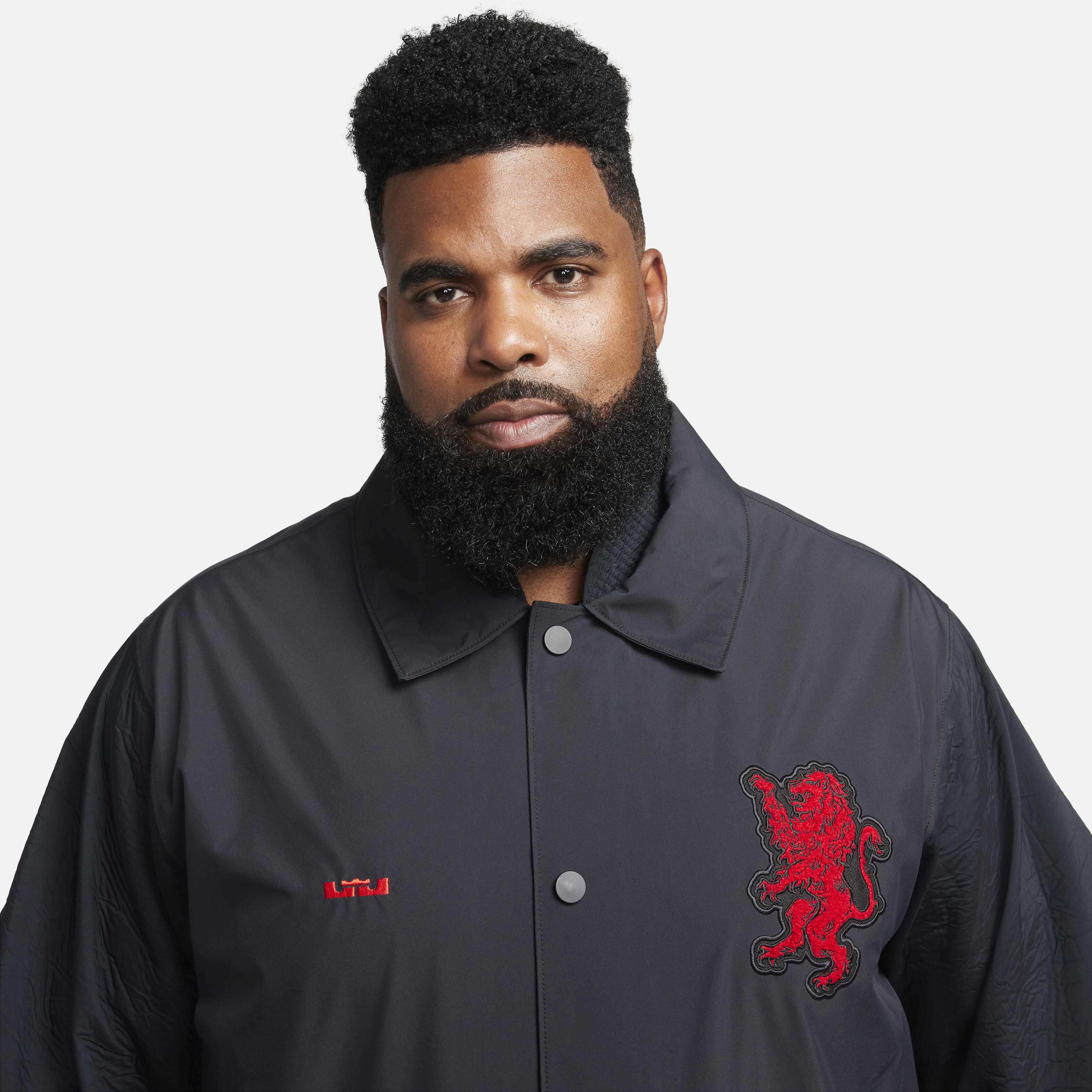 LeBron image number 13