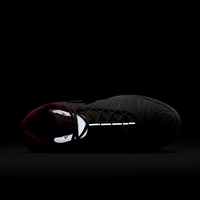 ليبرون ان اكس اكس تي جينيسيس اي بي image number 8 ليبرون ان اكس اكس تي جينيسيس اي بي image number 8