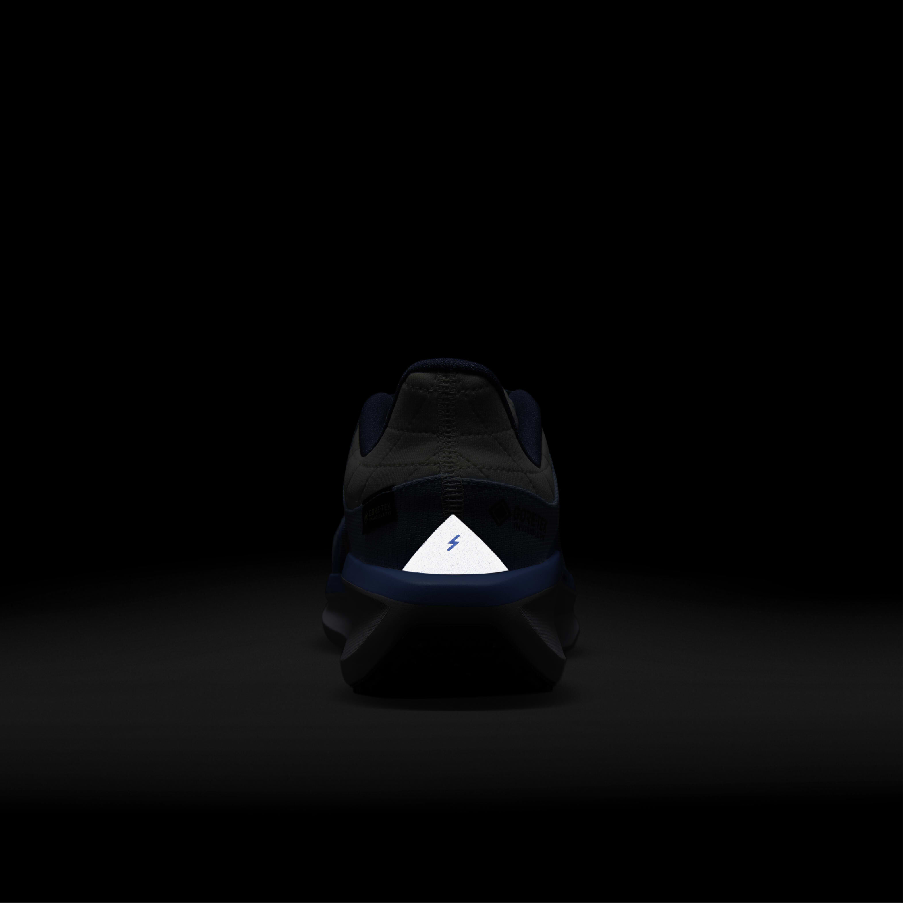Nike Winflo 11 GORE-TEX image number 8