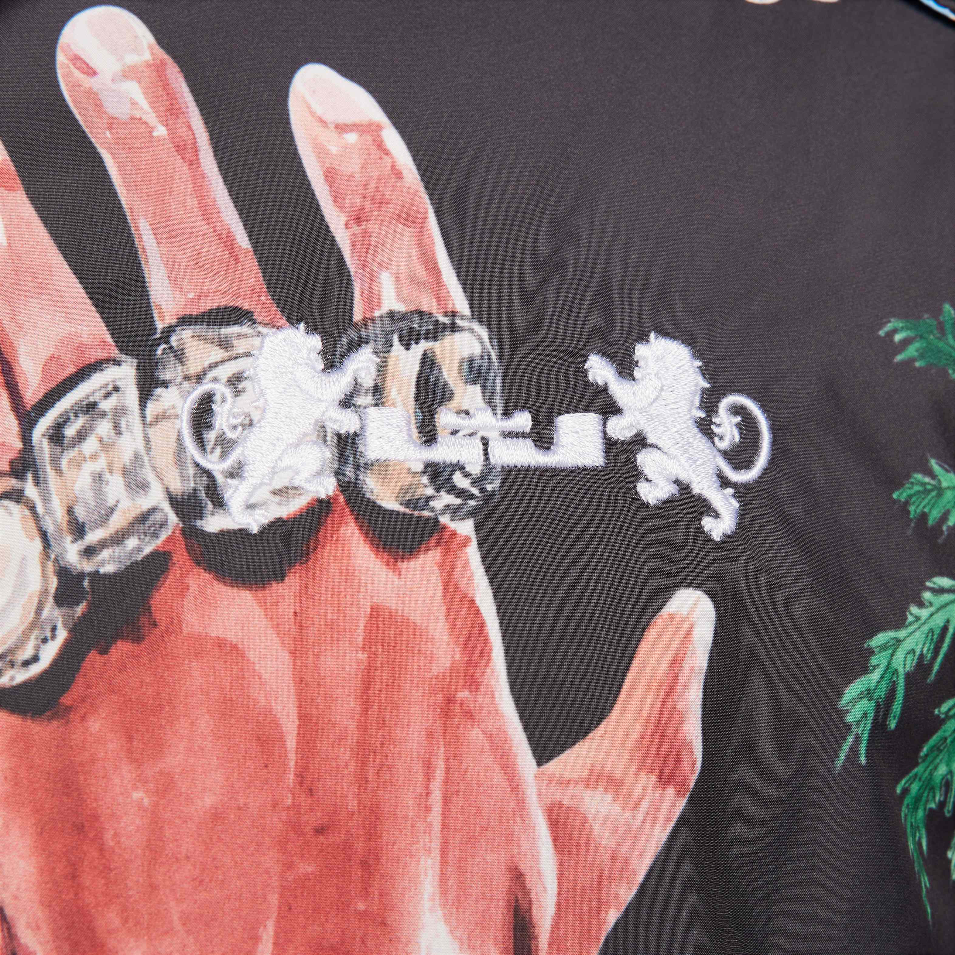 LeBron image number 4