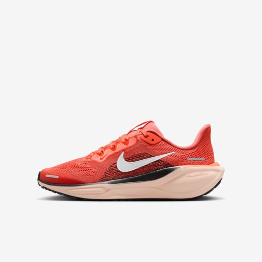 Nike Pegasus 41