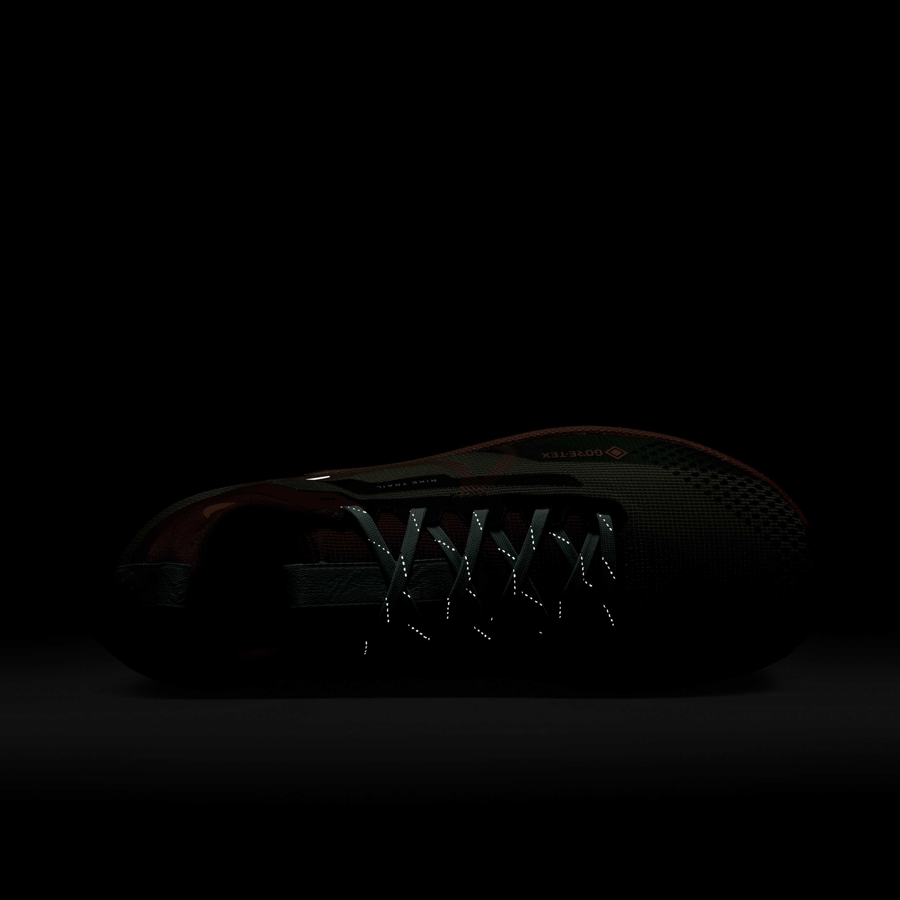 Nike Pegasus Trail 4 GORE-TEX image number 8