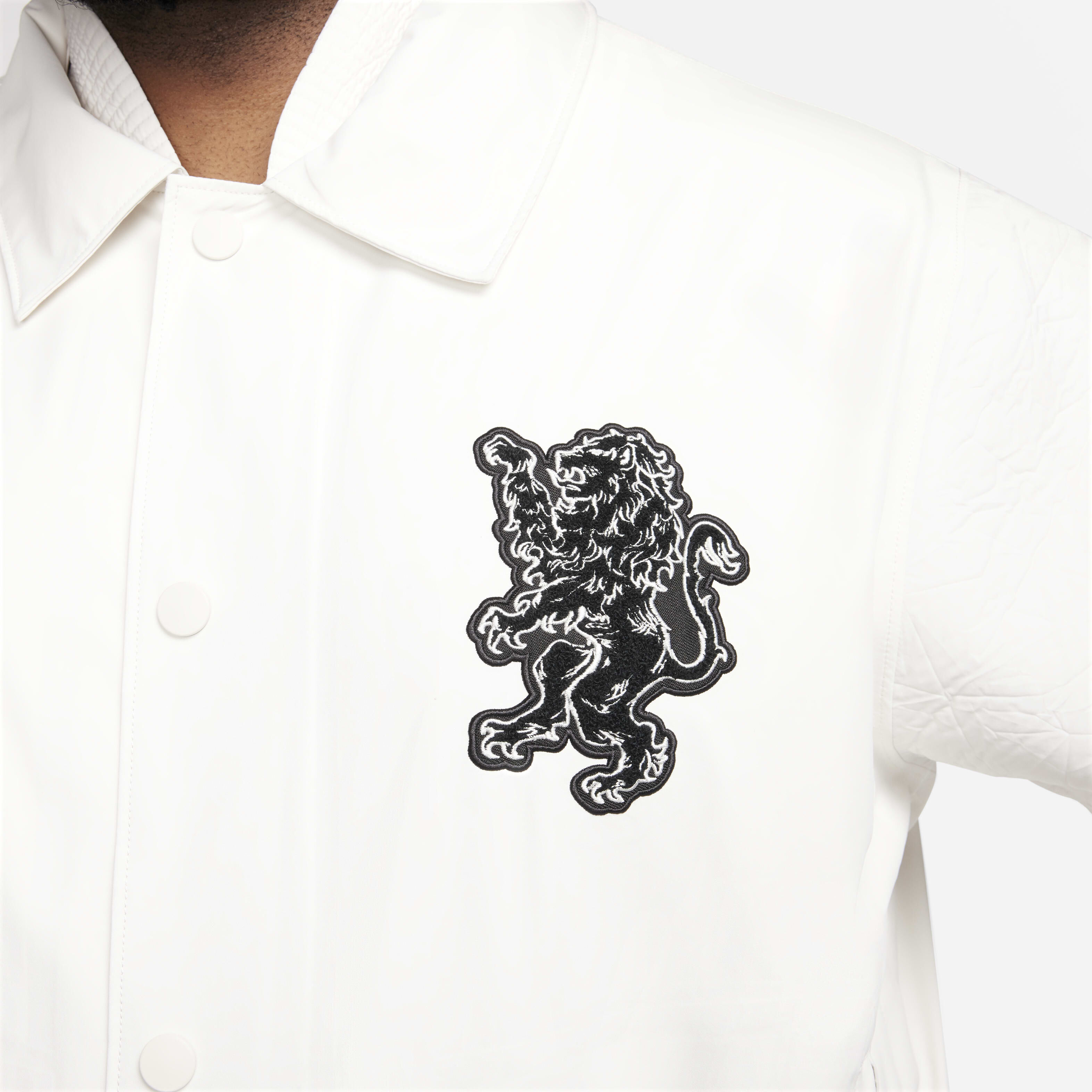 LeBron image number 13