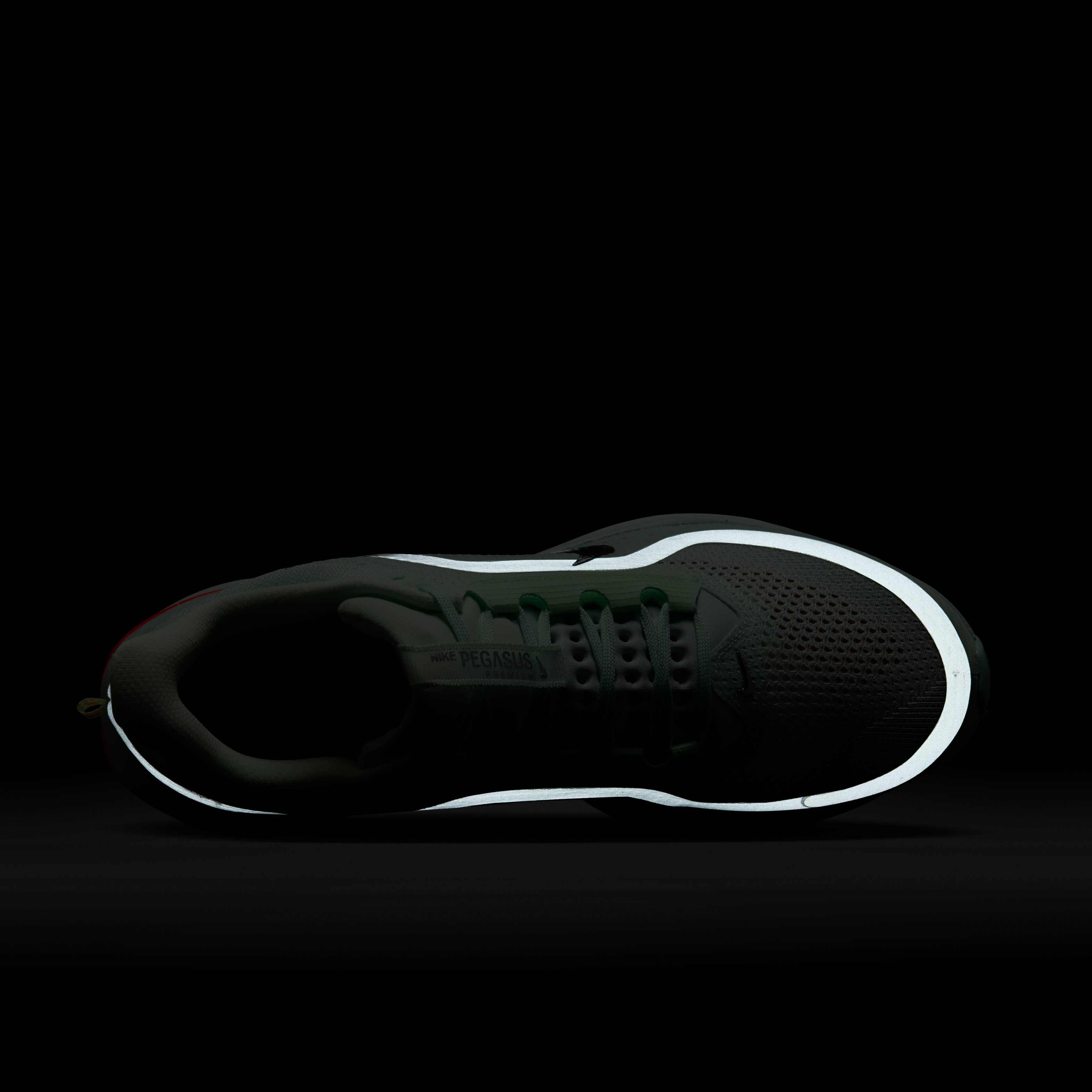 Nike Pegasus Premium image number 8