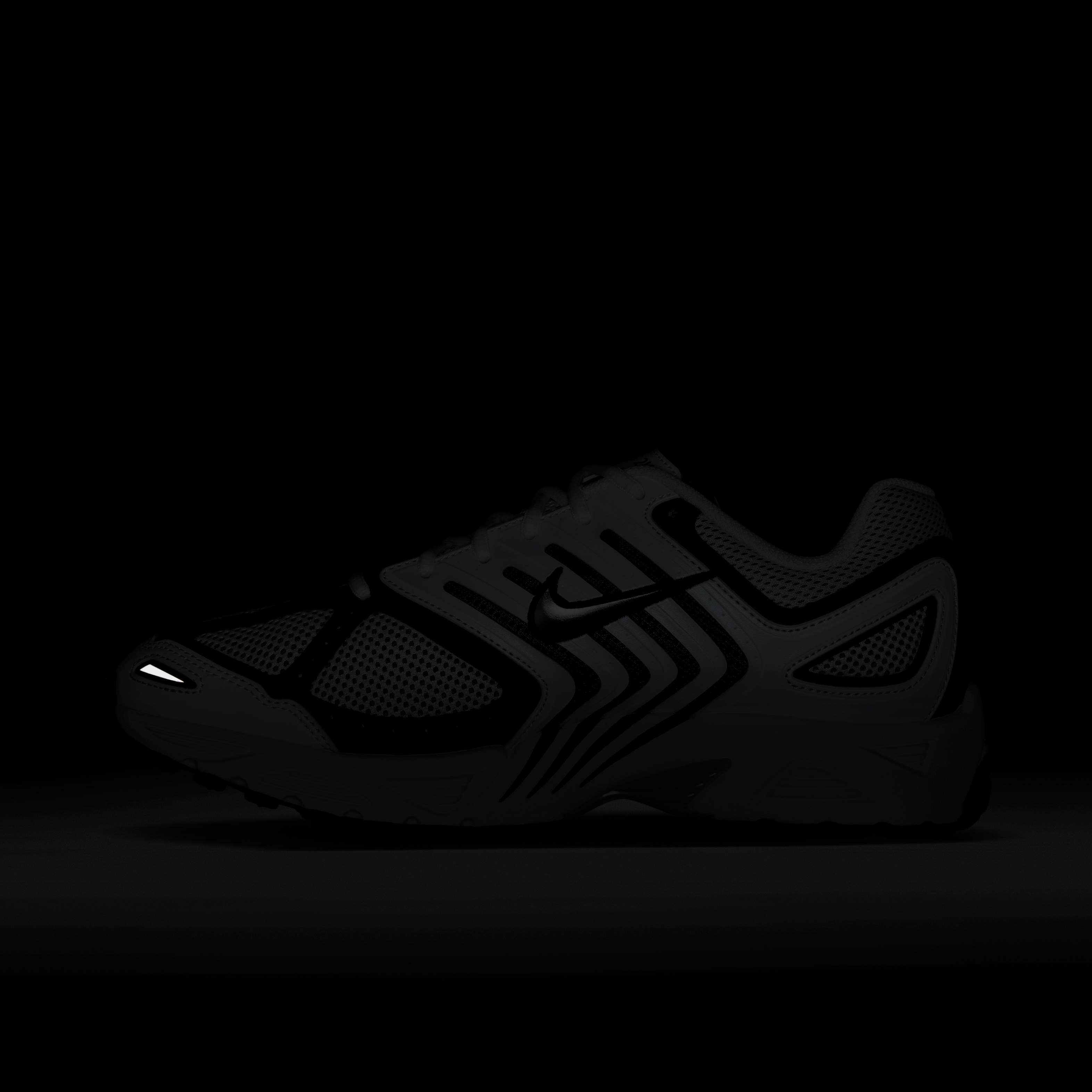 نايكي اير بيجاسوس 2005 image number 10