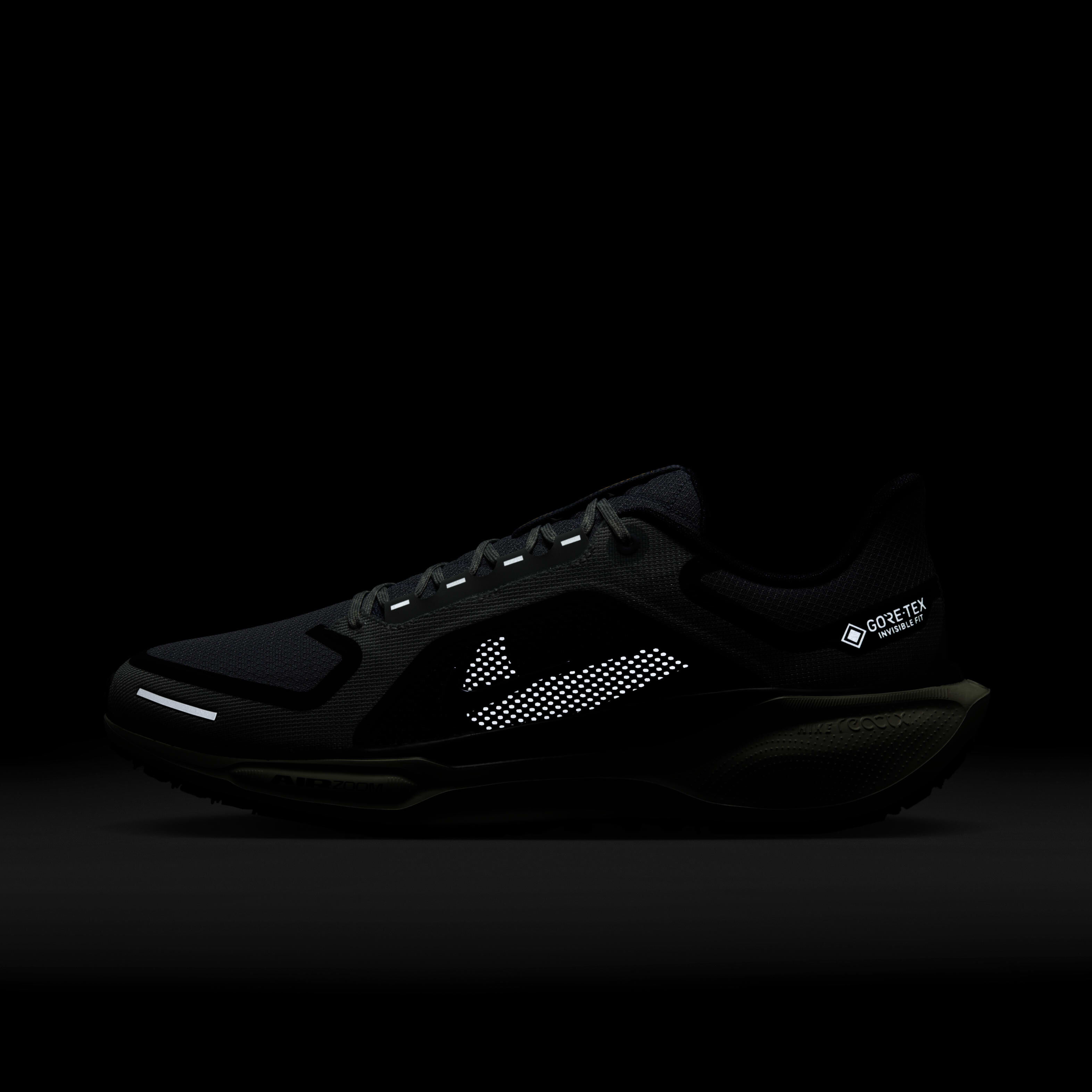 Nike Pegasus 41 GORE-TEX image number 10