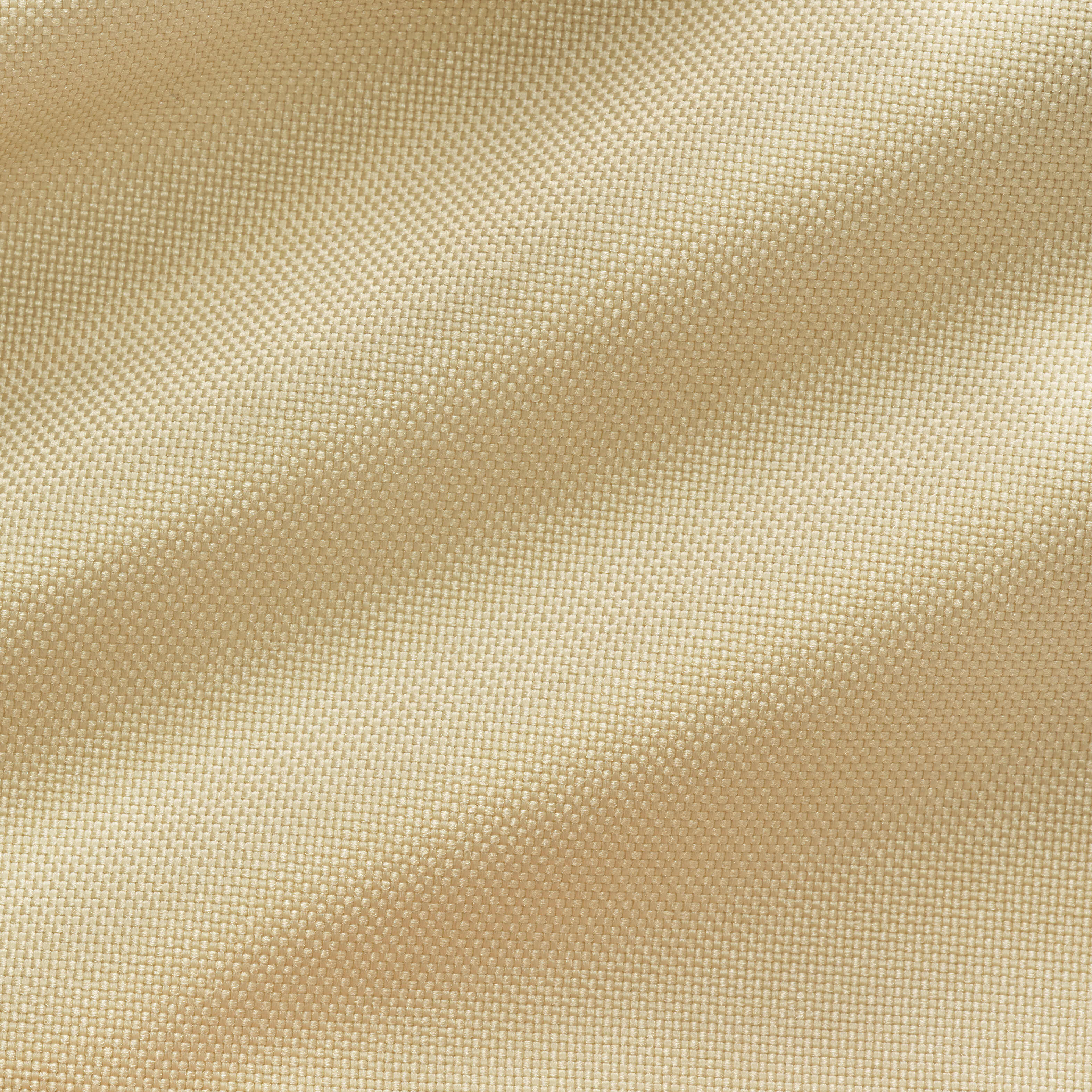 نايكي كلاسيك image number 7