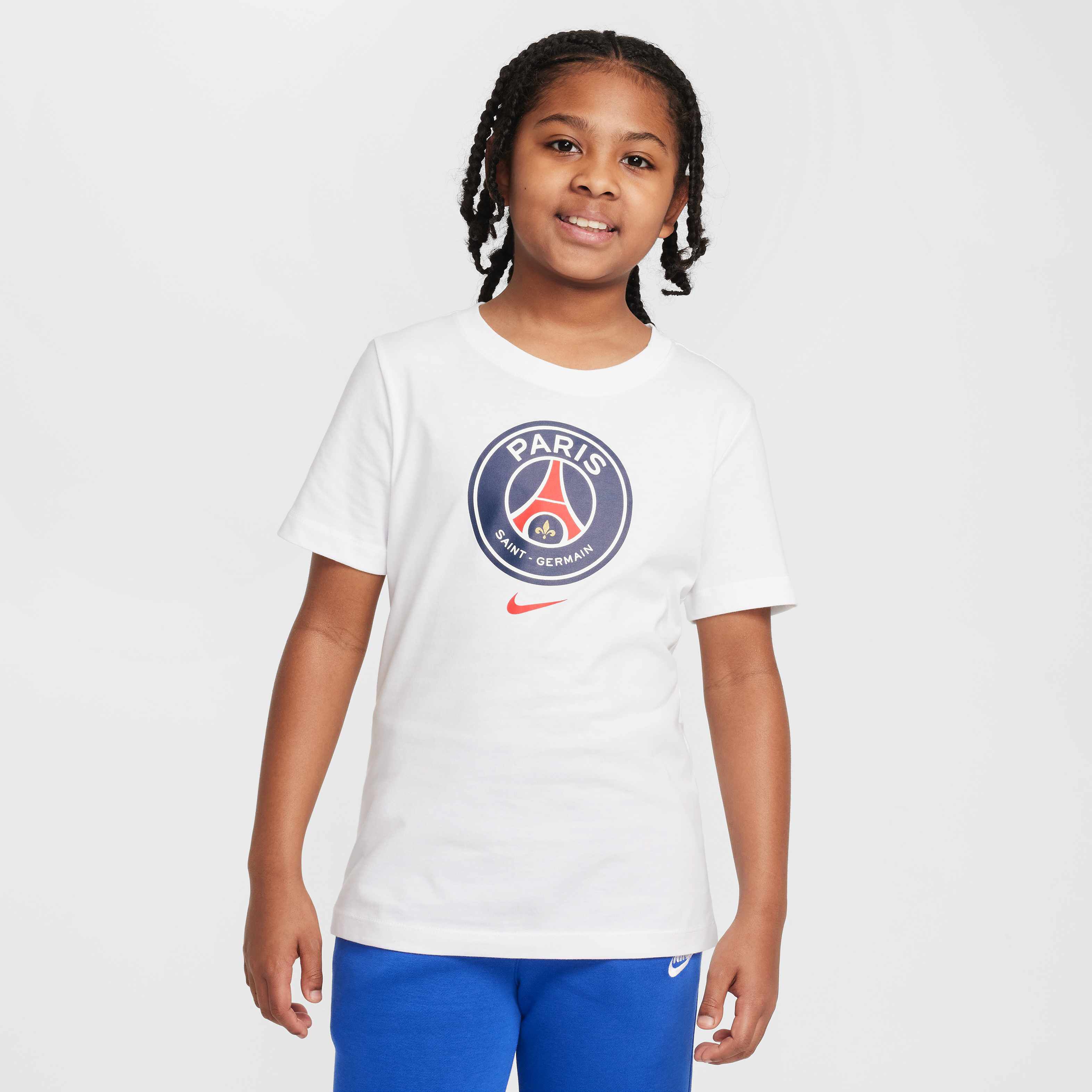 Paris Saint-Germain image number 0