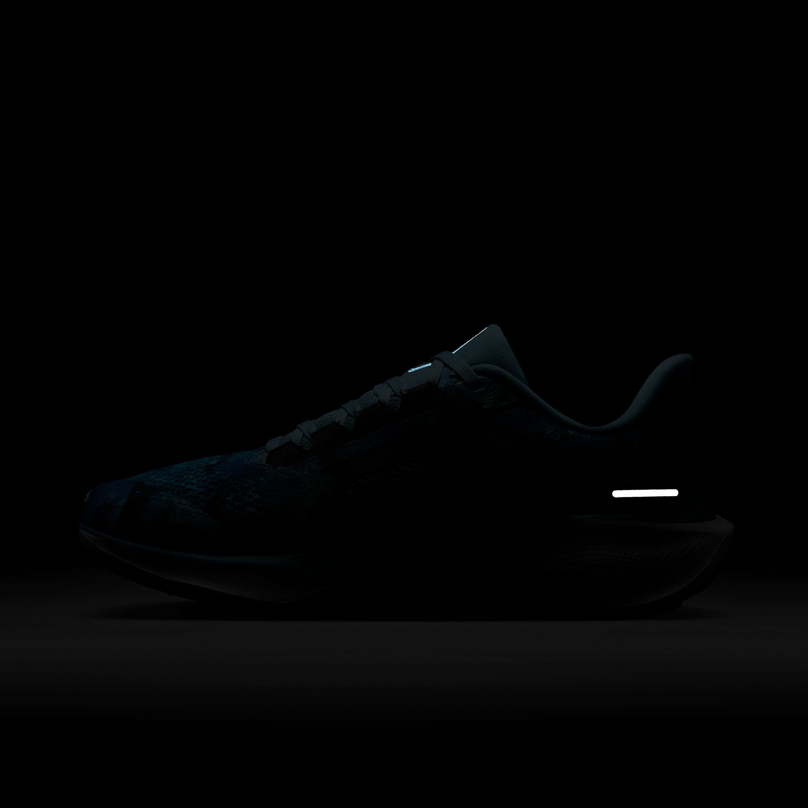 نايكي بيجاسوس 41 NBNW image number 11