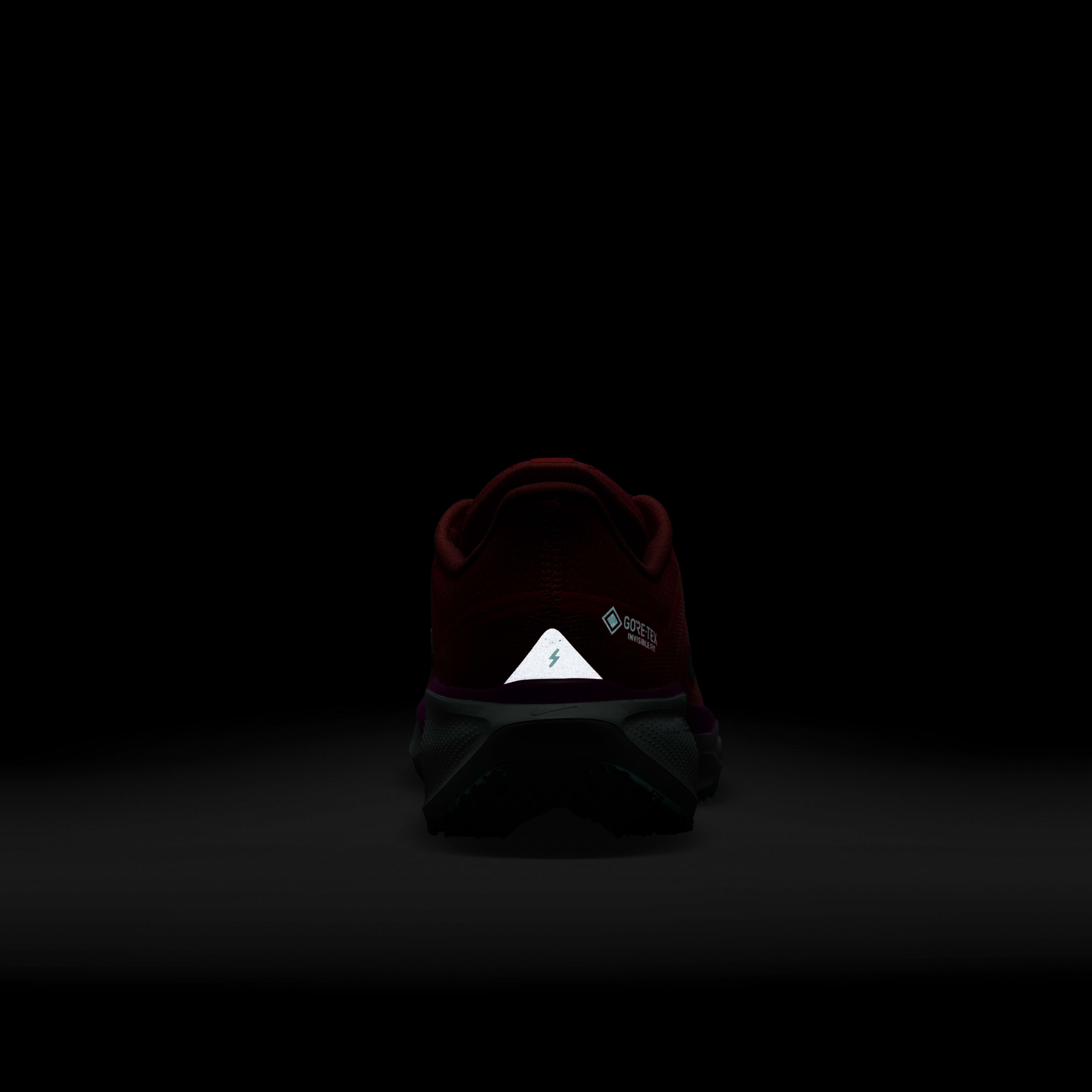 Nike Pegasus 41 GORE-TEX image number 9