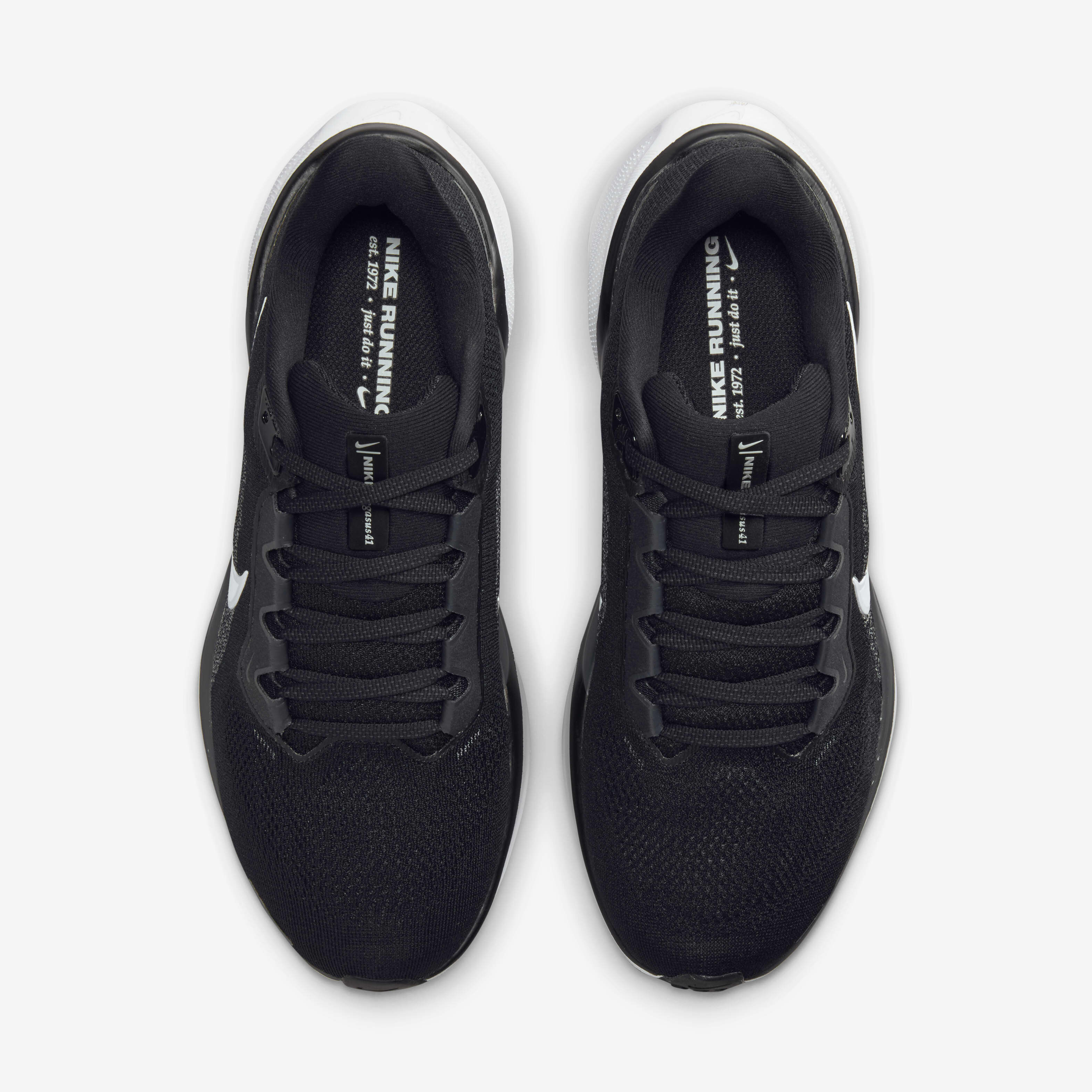 نايكي بيجاسوس 41 image number 3