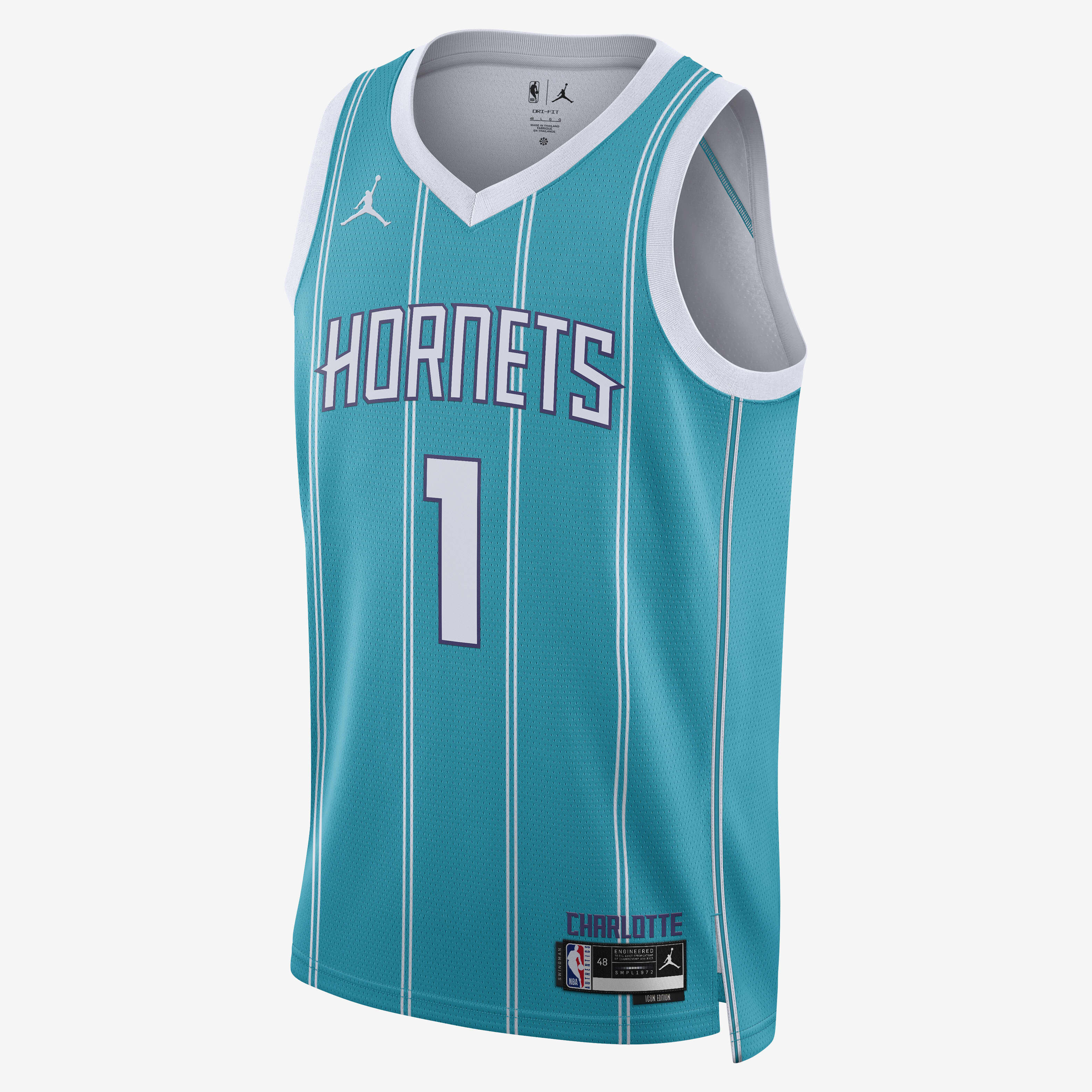 Charlotte Hornets Icon Edition image number 0
