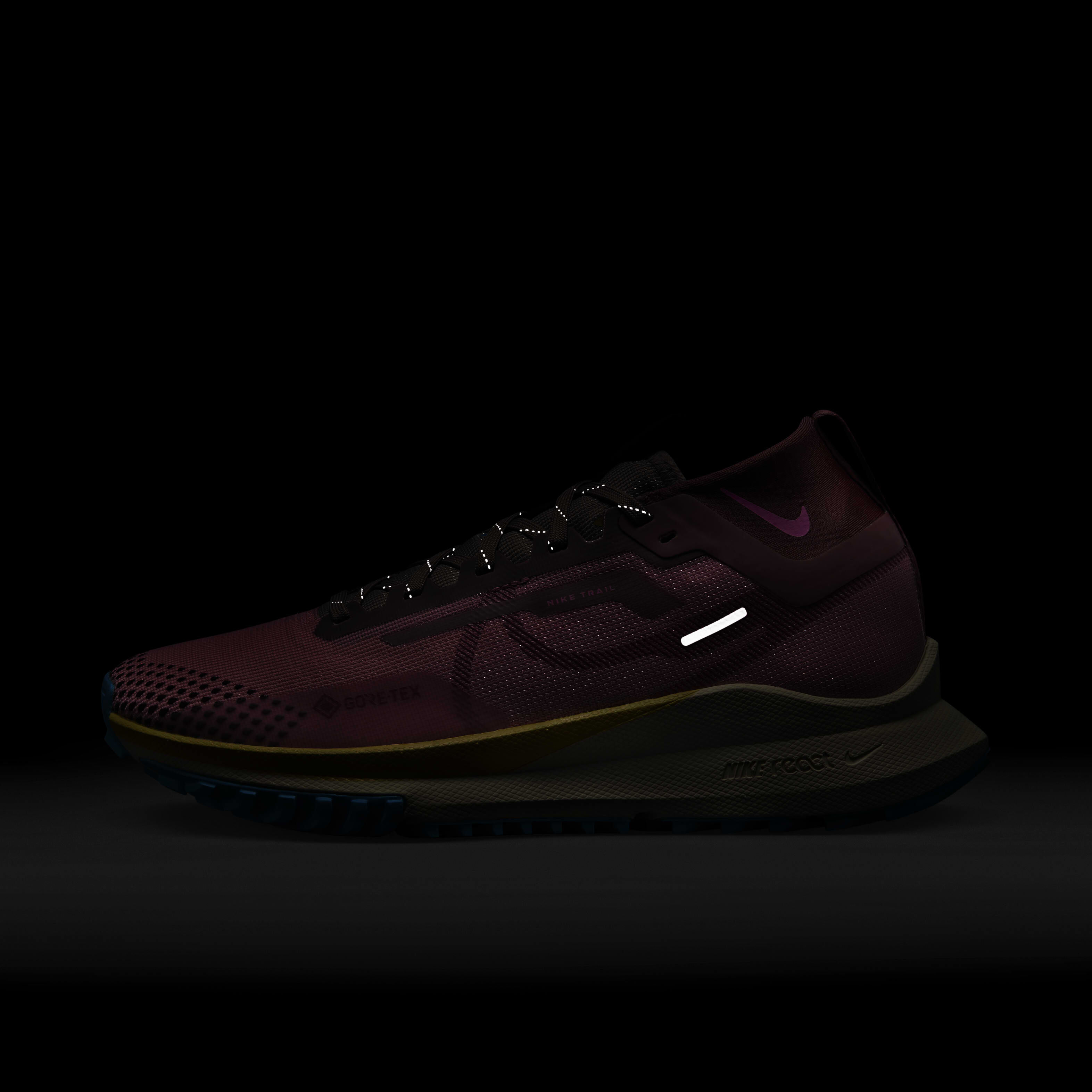 Nike Pegasus Trail 4 GORE-TEX image number 8