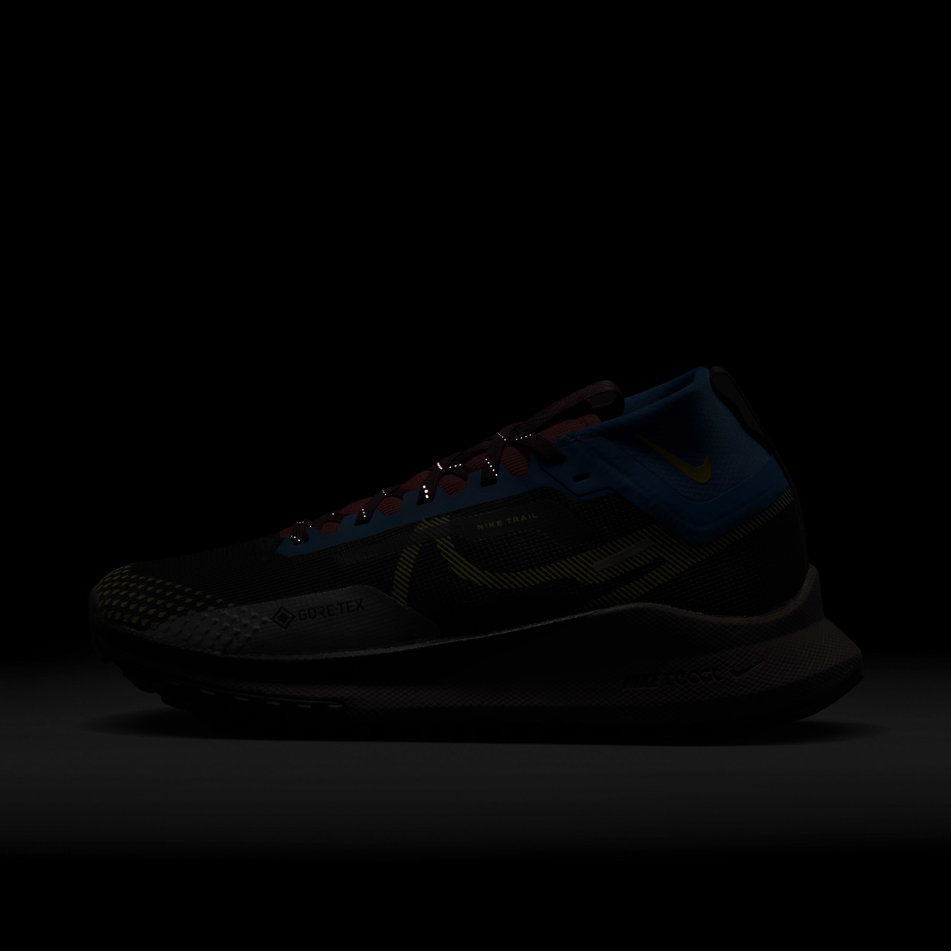 Nike Pegasus Trail 4 GORE-TEX image number 9