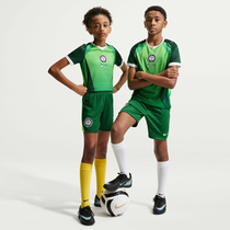 Nigeria 2026 Stadium Home