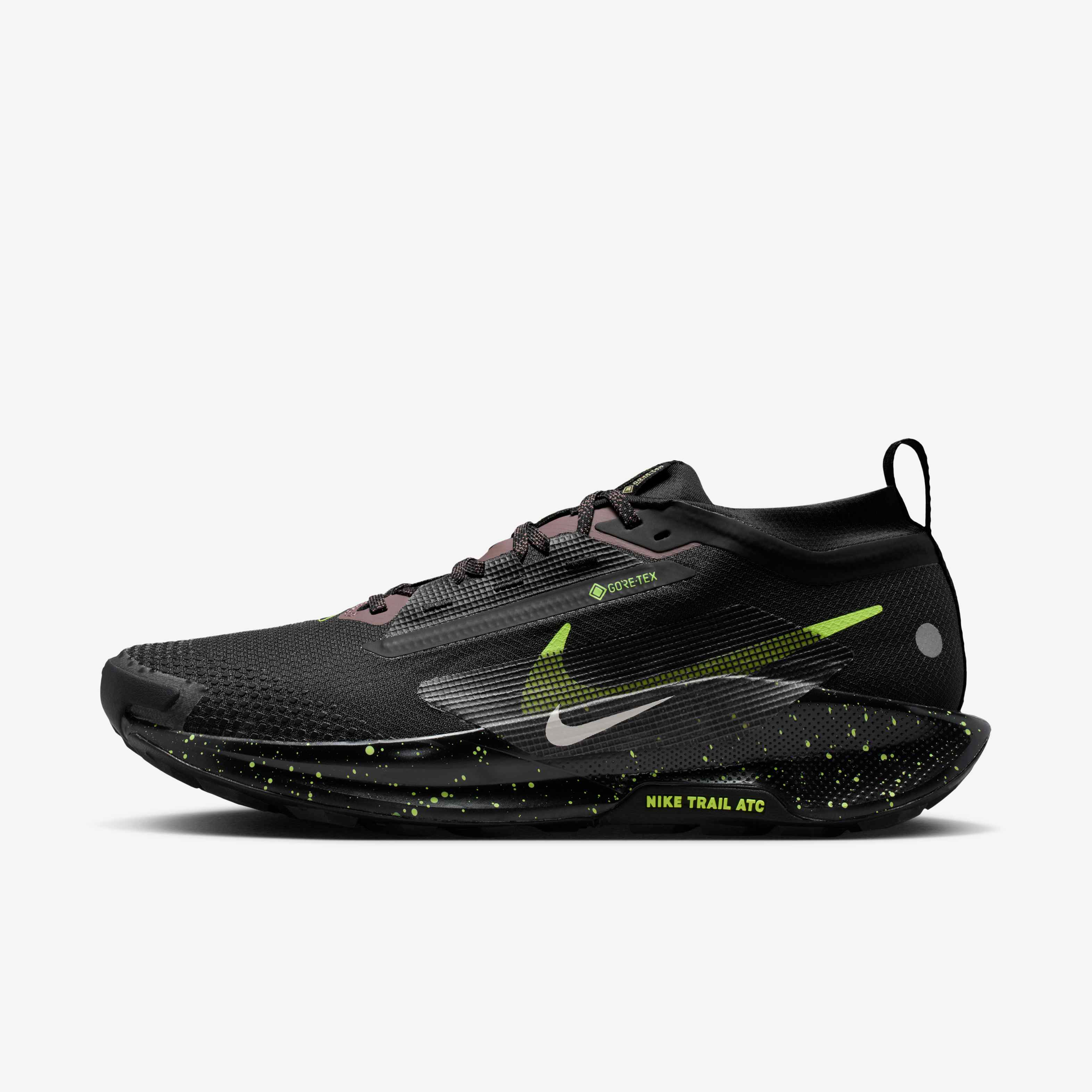 Nike Pegasus Trail 5 GORE-TEX image number 0