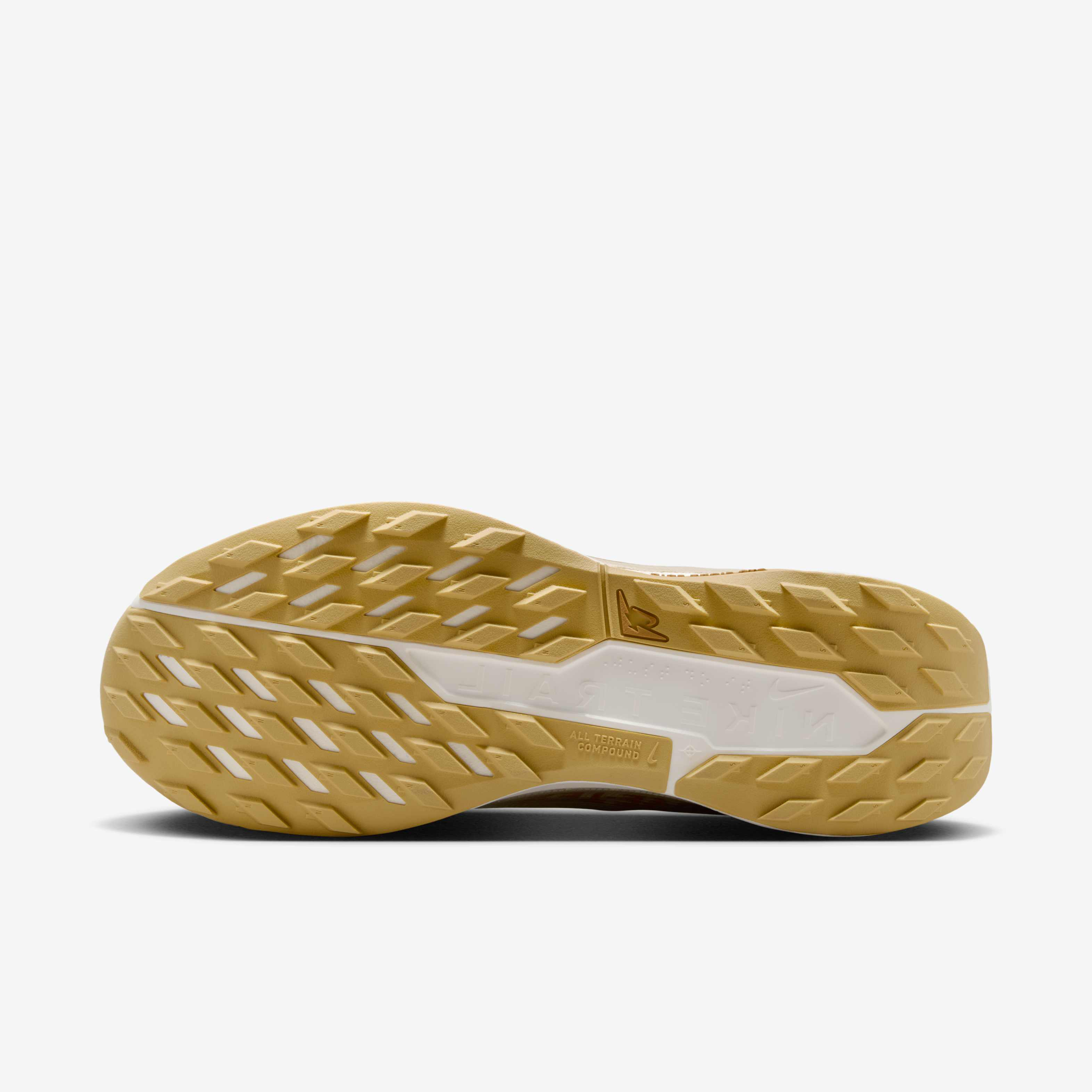 نايكي بيغاسوس تريل 5 جور-تكس SP image number 1