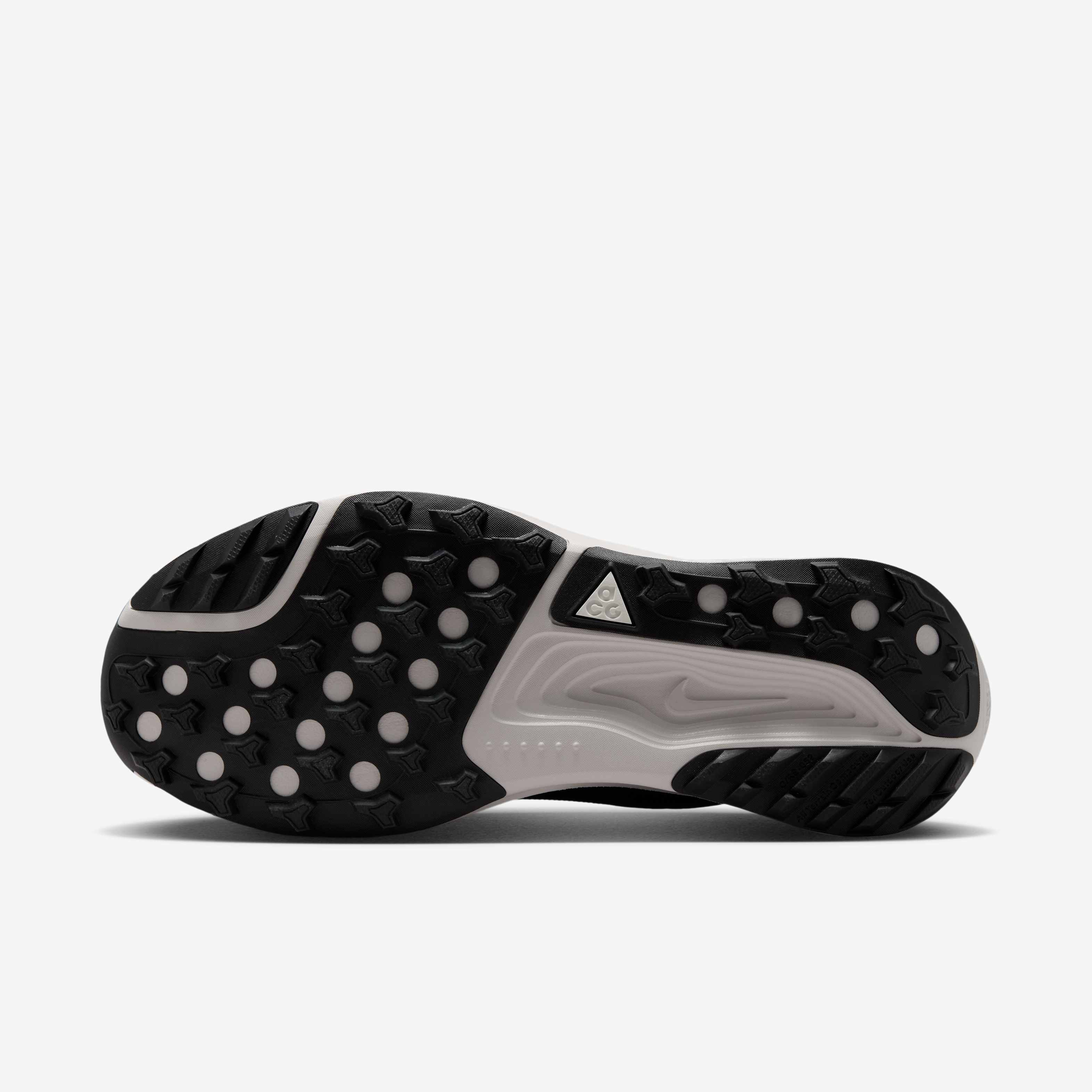 ACG بيجاسوس تريل GORE-TEX image number 1