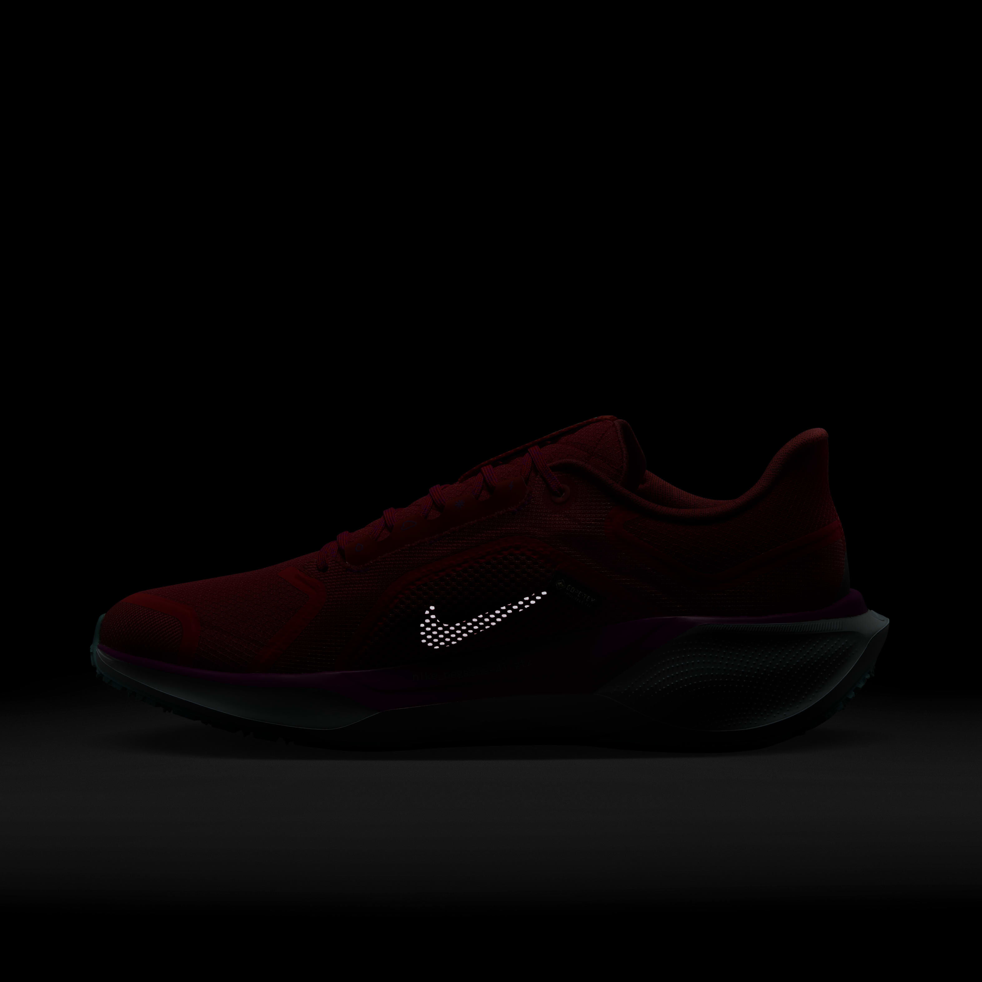 Nike Pegasus 41 GORE-TEX image number 11