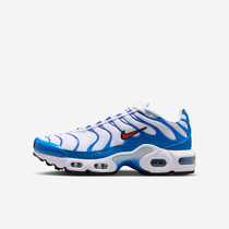 Nike Air Max Plus