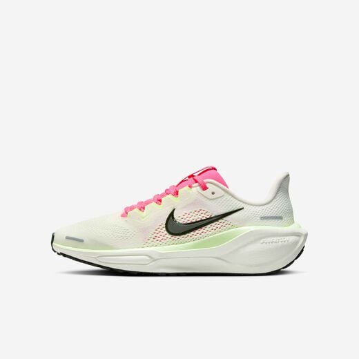 نايكي بيجاسوس 41 نايكي بيجاسوس 41