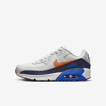 Nike Air Max 90 LTR
