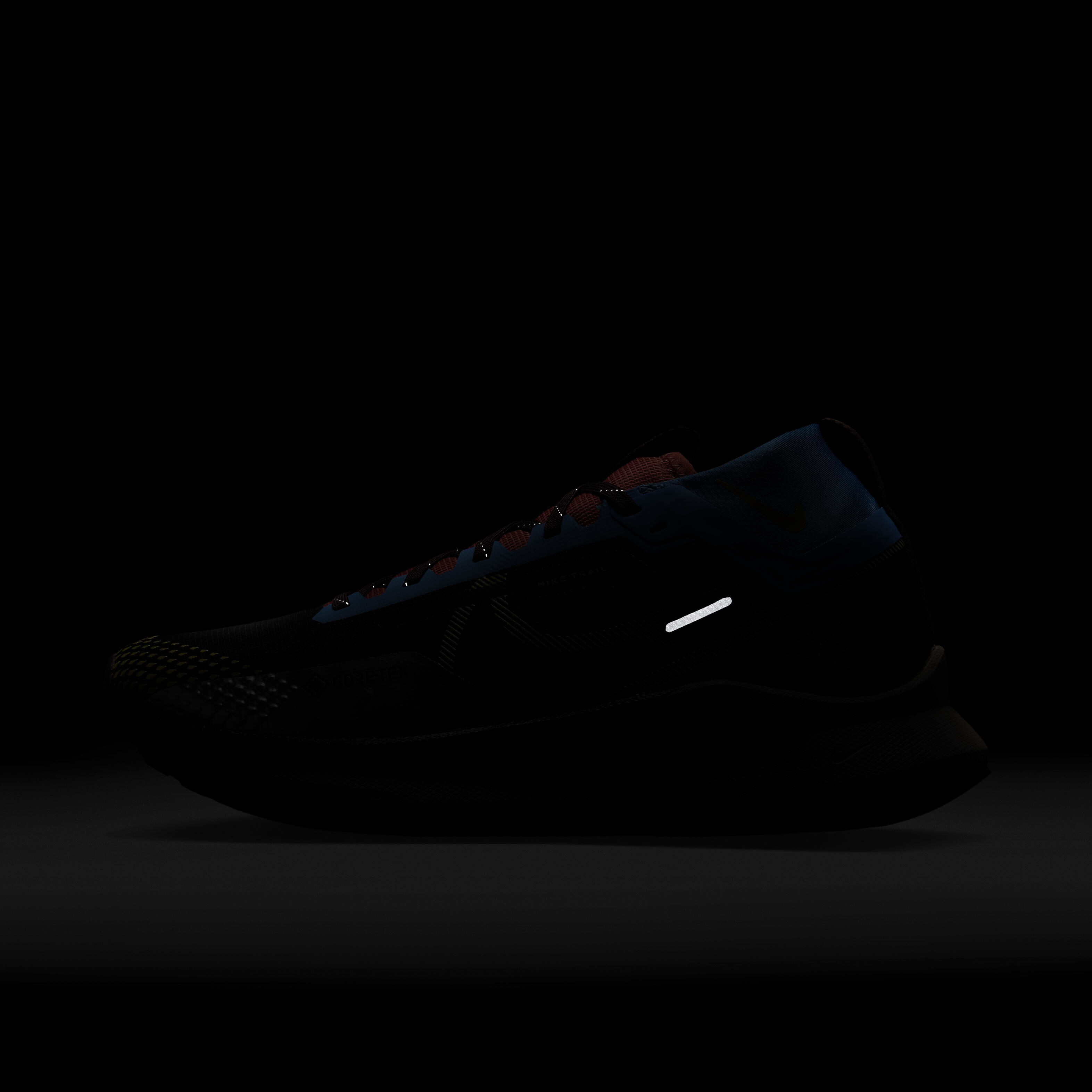 Nike Pegasus Trail 4 GORE-TEX image number 9