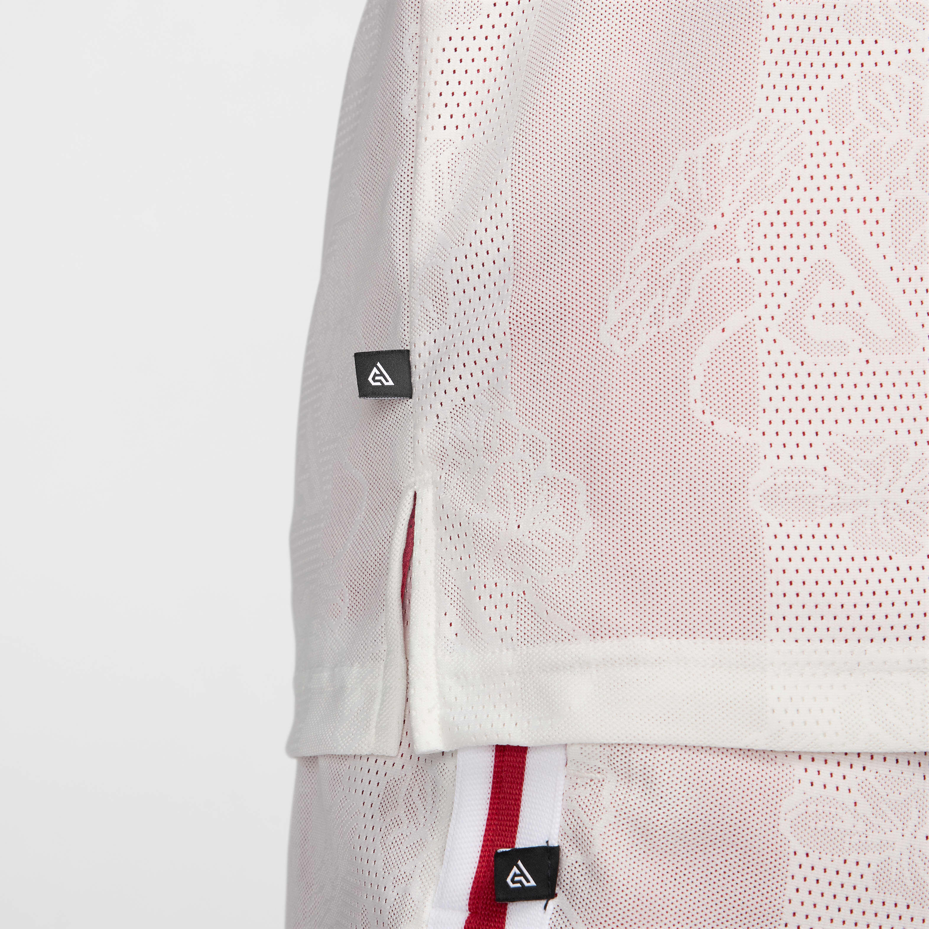 Giannis image number 4