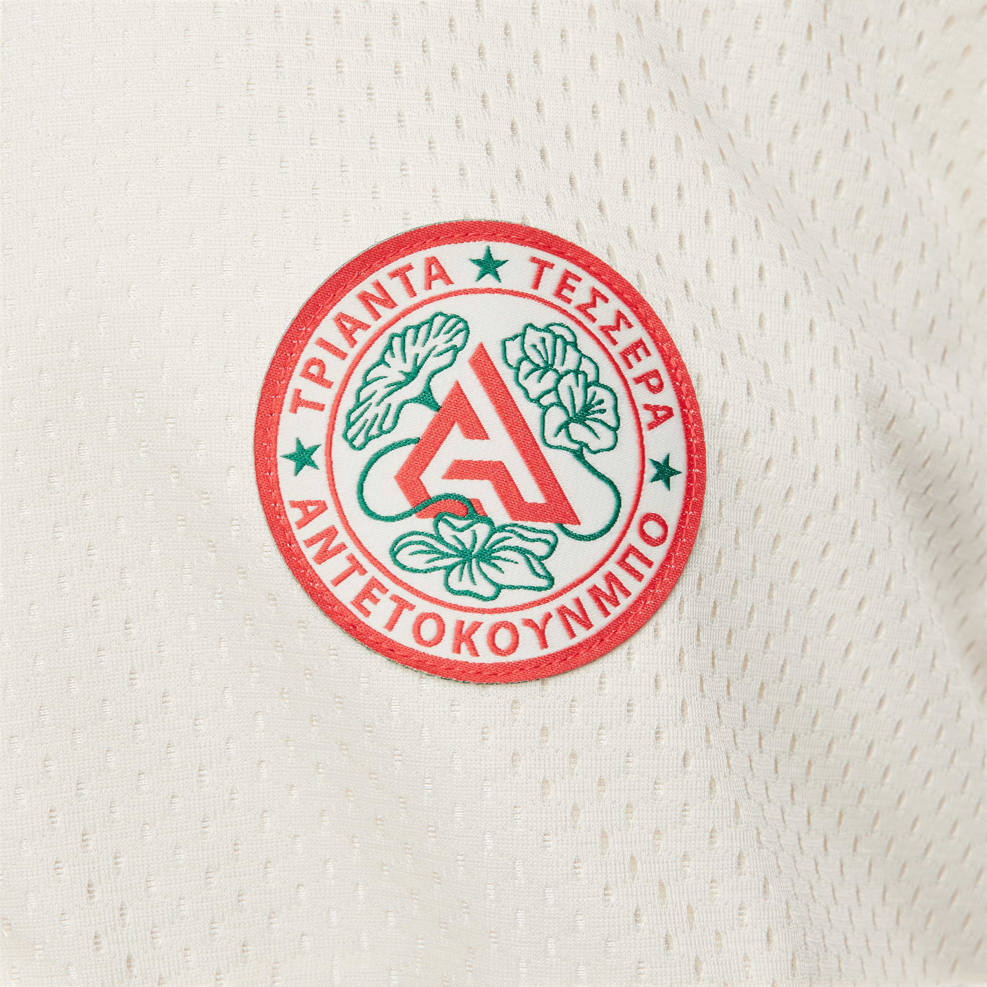 Giannis image number 4