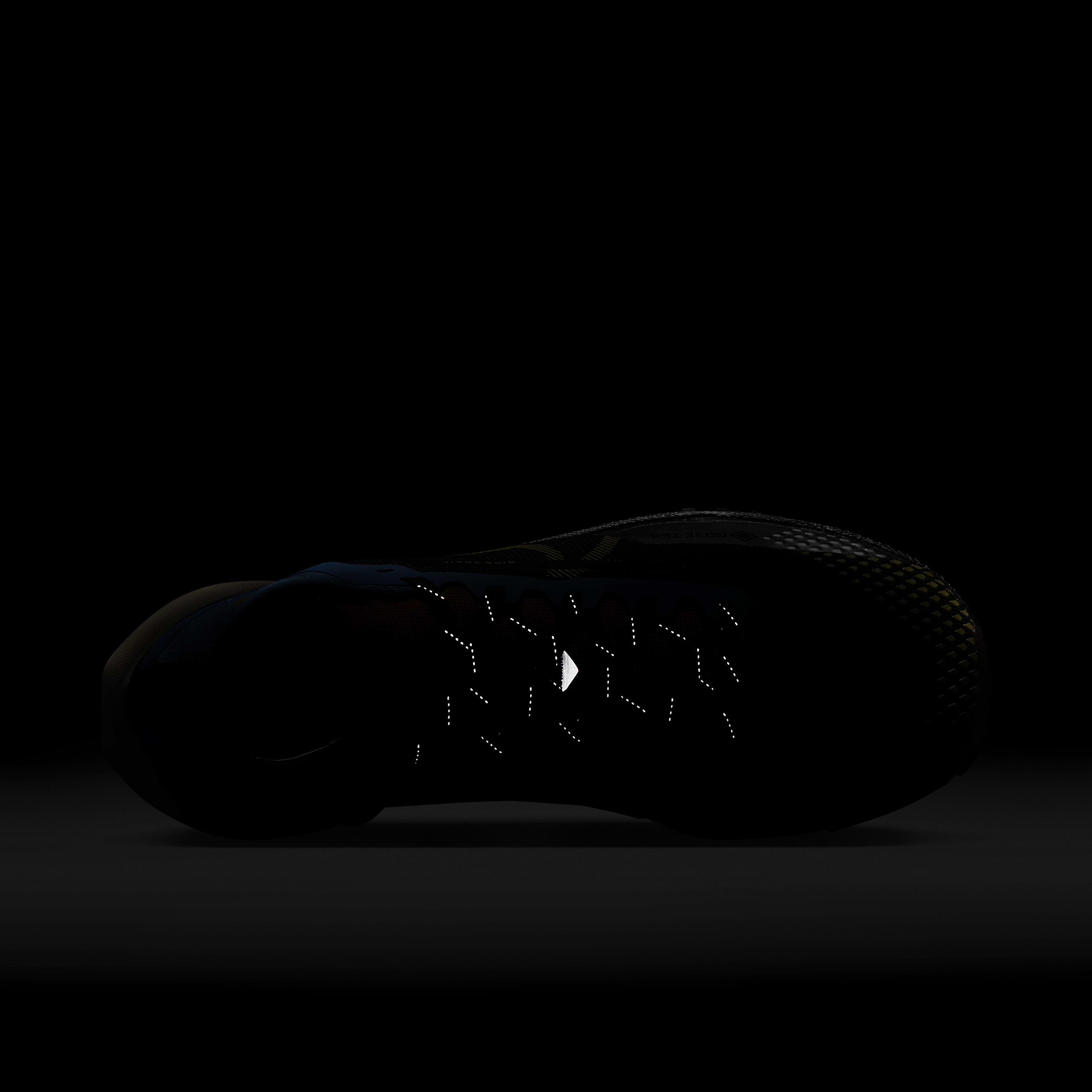 Nike Pegasus Trail 4 GORE-TEX image number 8