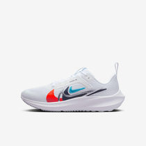 اير زووم بيجاسوس 40 PR