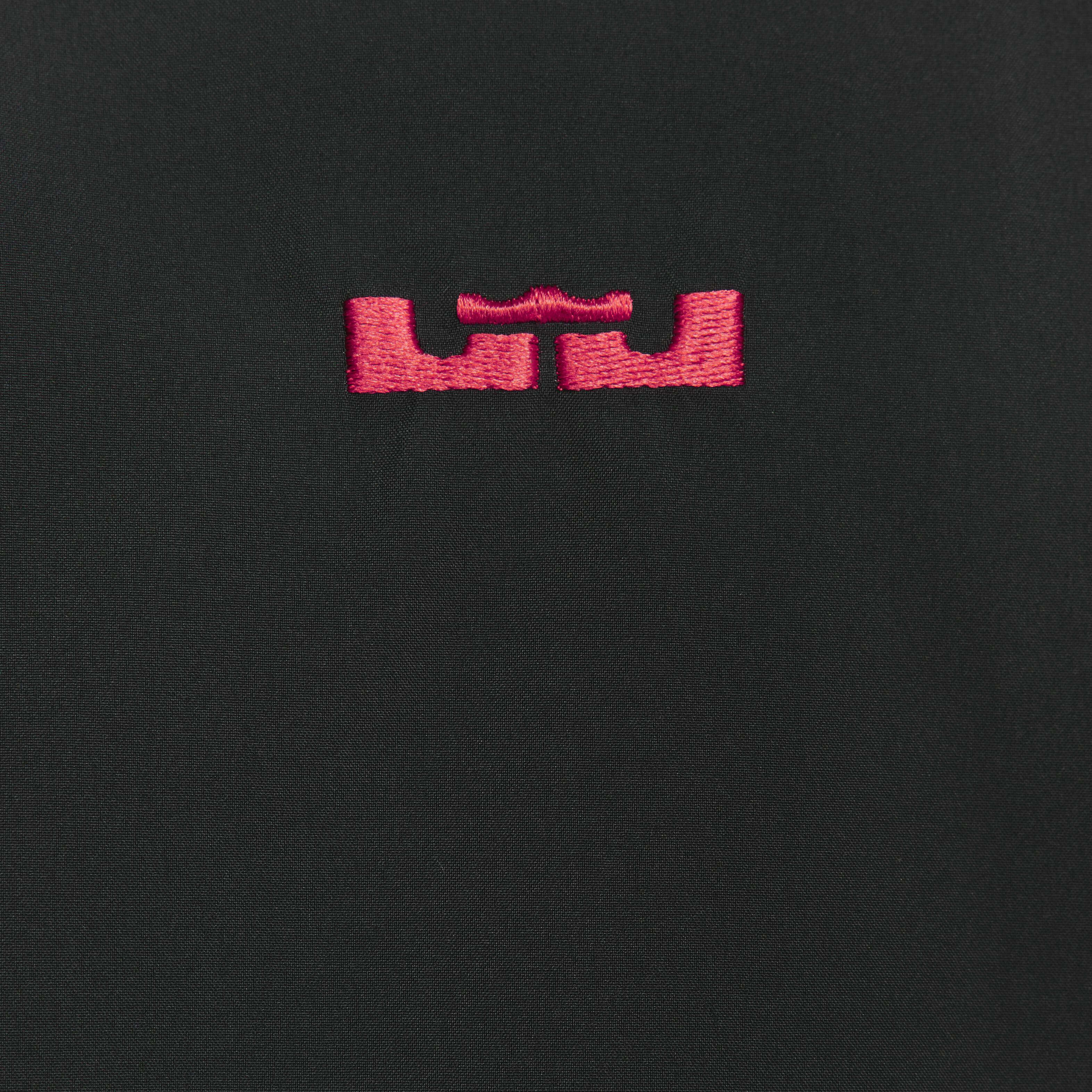 LeBron image number 4