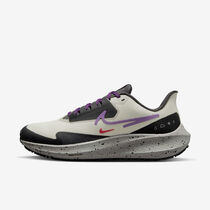Nike Pegasus 39 Shield