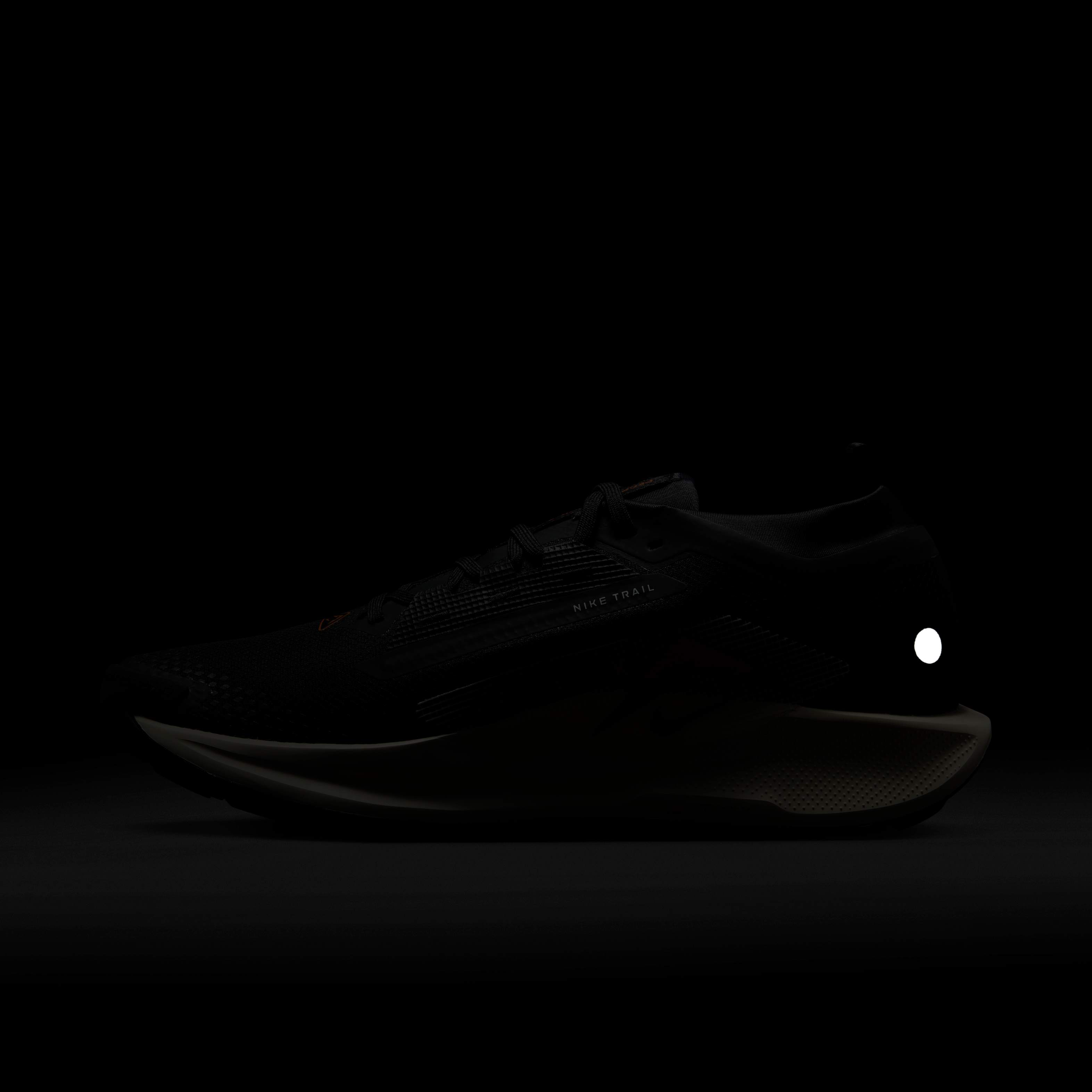 نايكي بيجاسوس تريل 5 جور-تكس image number 10