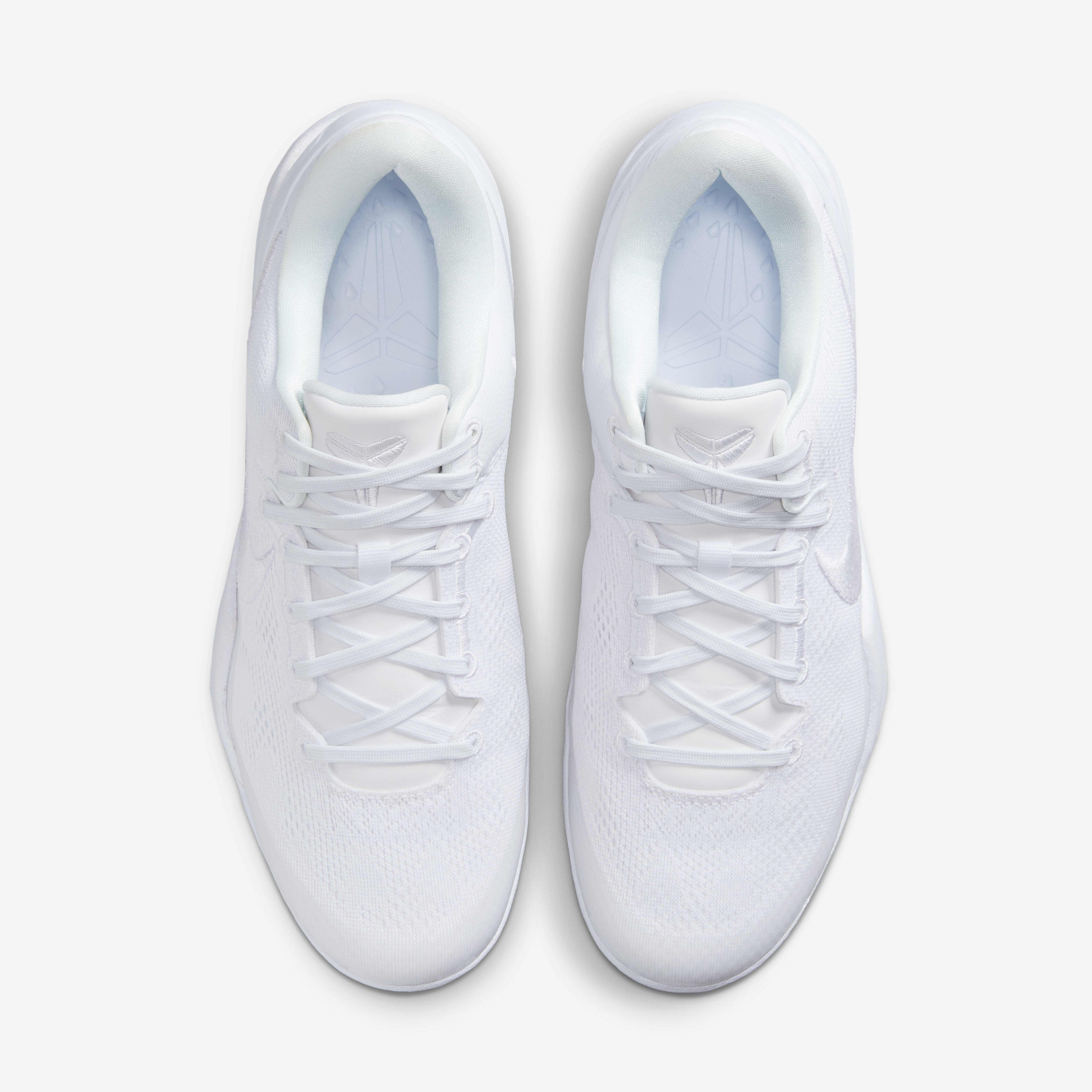 كوبي 8 بروترو 'هيلو' image number 3