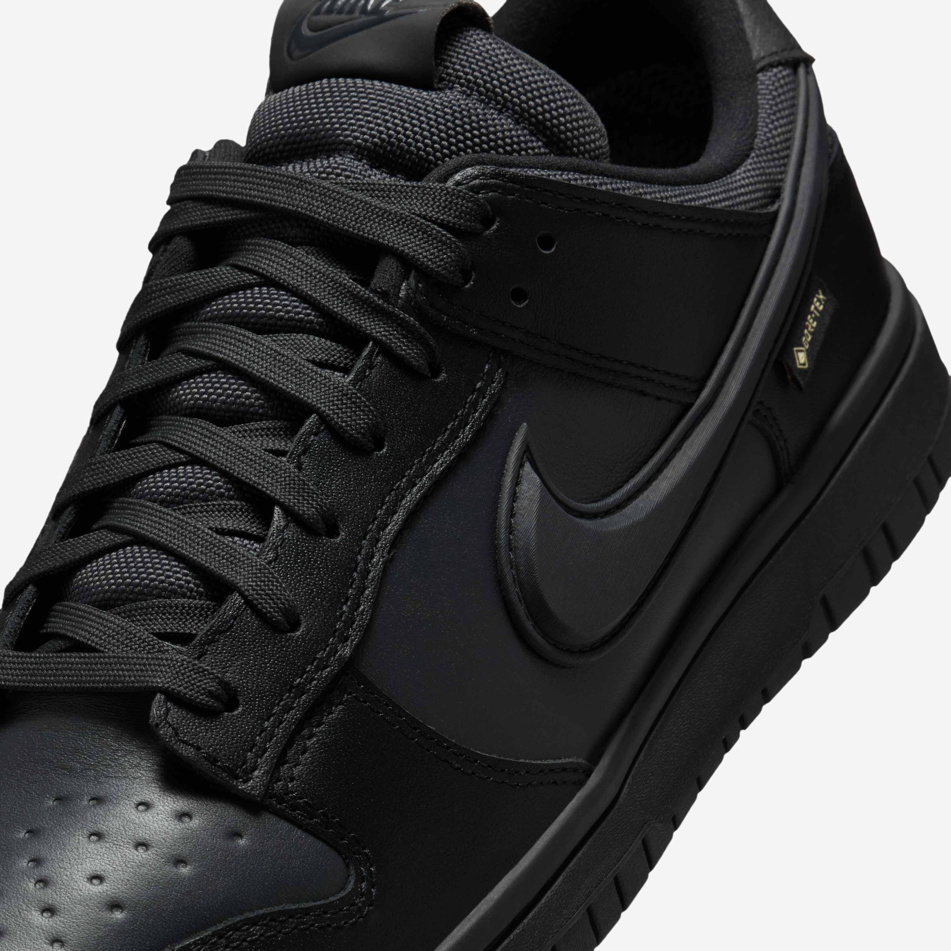Nike Dunk Low GORE-TEX image number 6