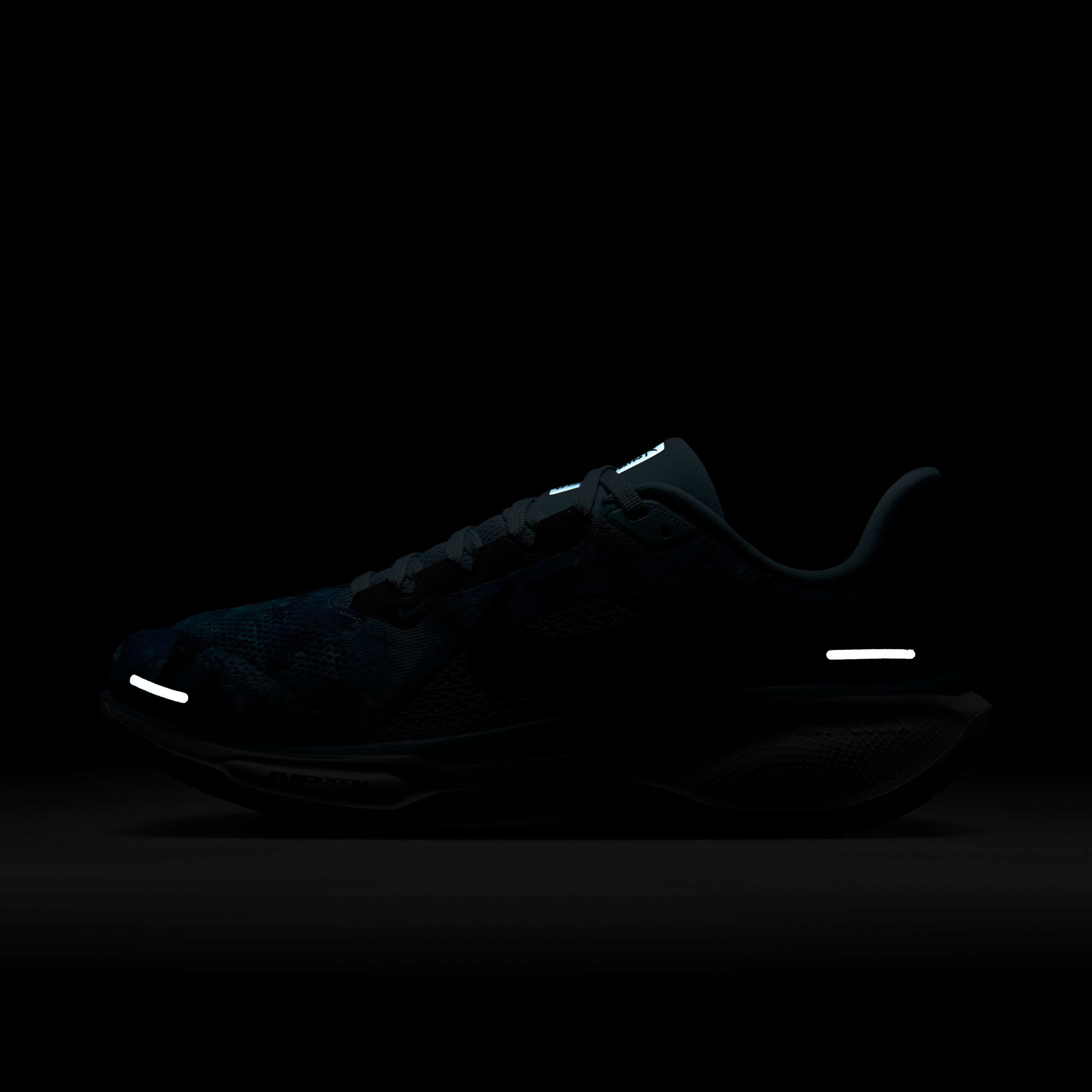 نايكي بيجاسوس 41 NBNW image number 10