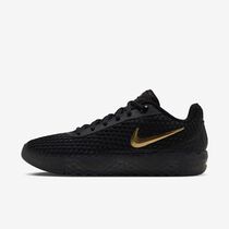 LeBron Witness X