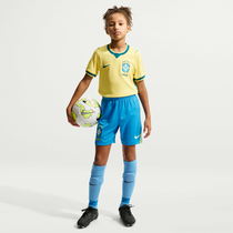 البرازيل 2026 ستيديوم الأساسي