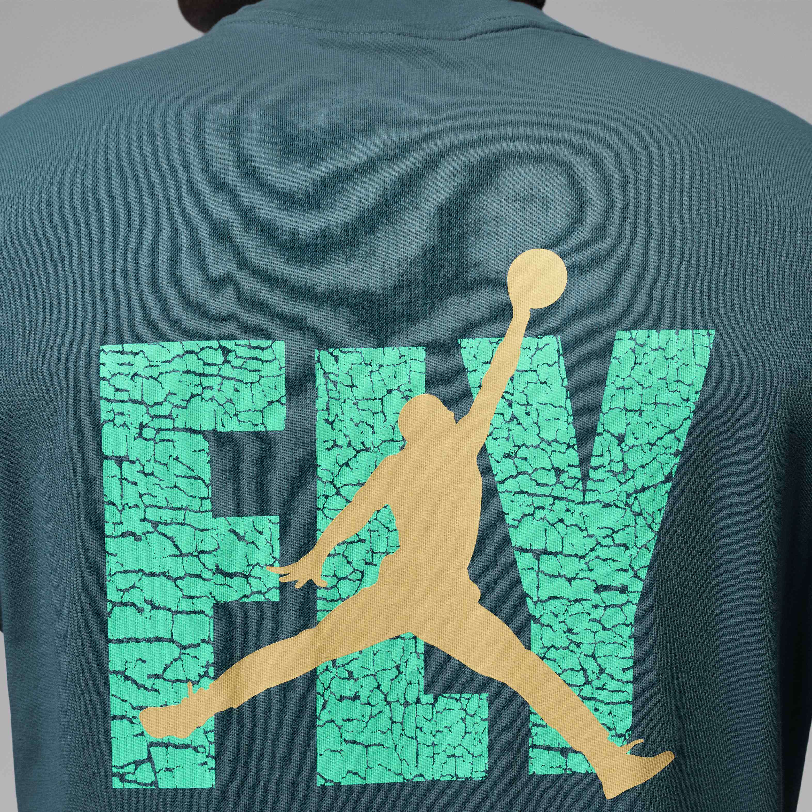 Jordan image number 4