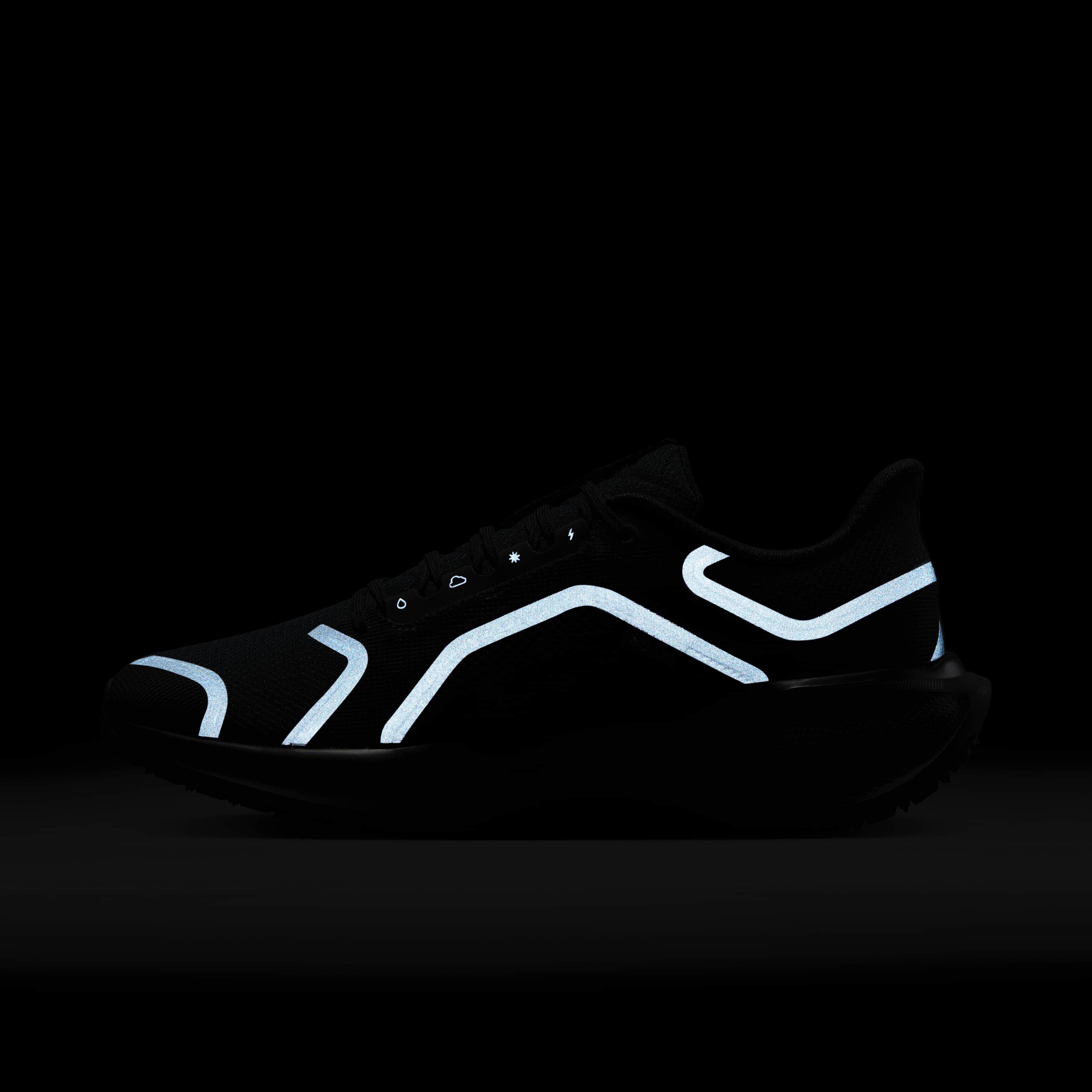 Nike Pegasus 41 GORE-TEX image number 11