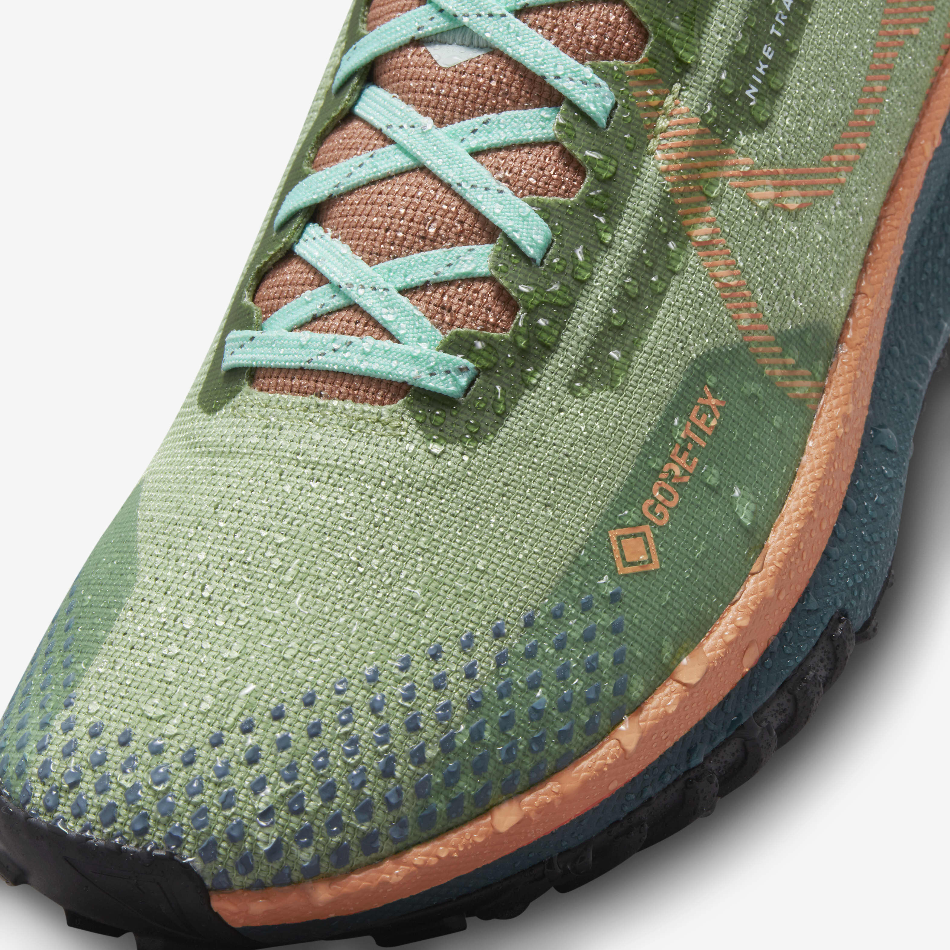 Nike Pegasus Trail 4 GORE-TEX image number 10