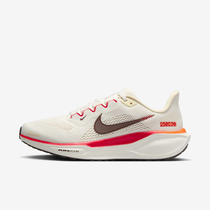 Nike Pegasus 41
