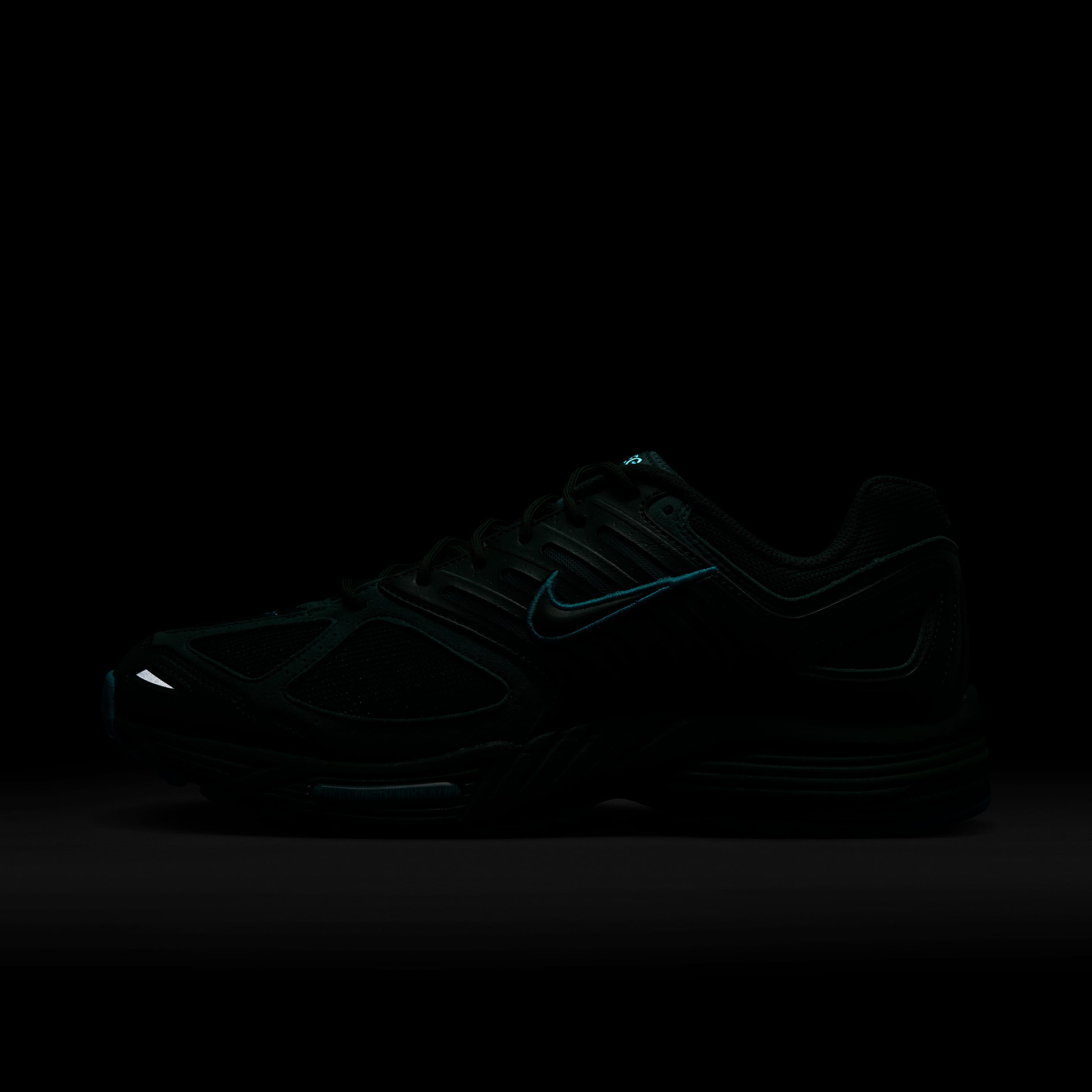 نايكي اير بيجاسوس 2005 image number 10