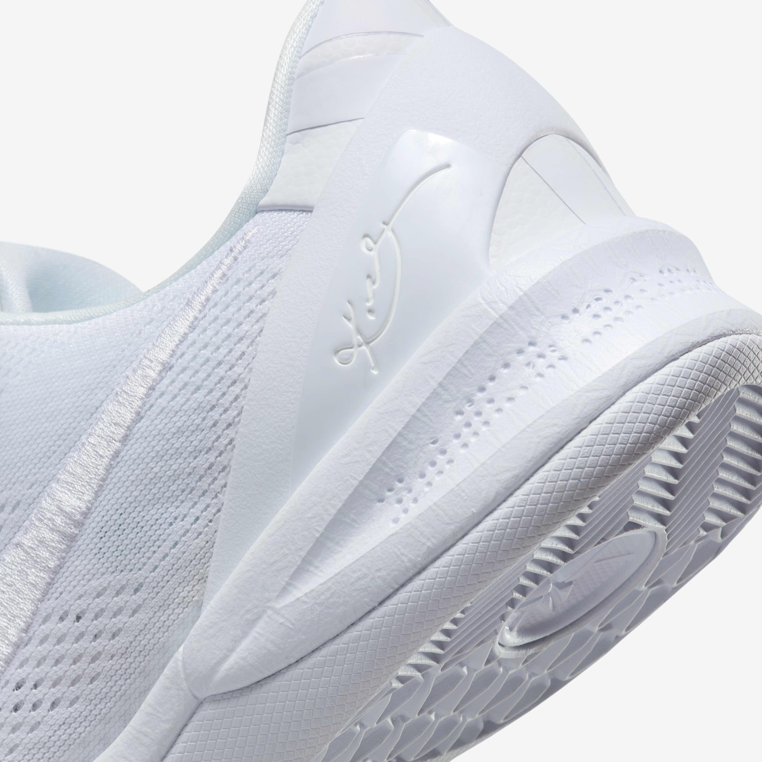 كوبي 8 بروترو 'هيلو' image number 7