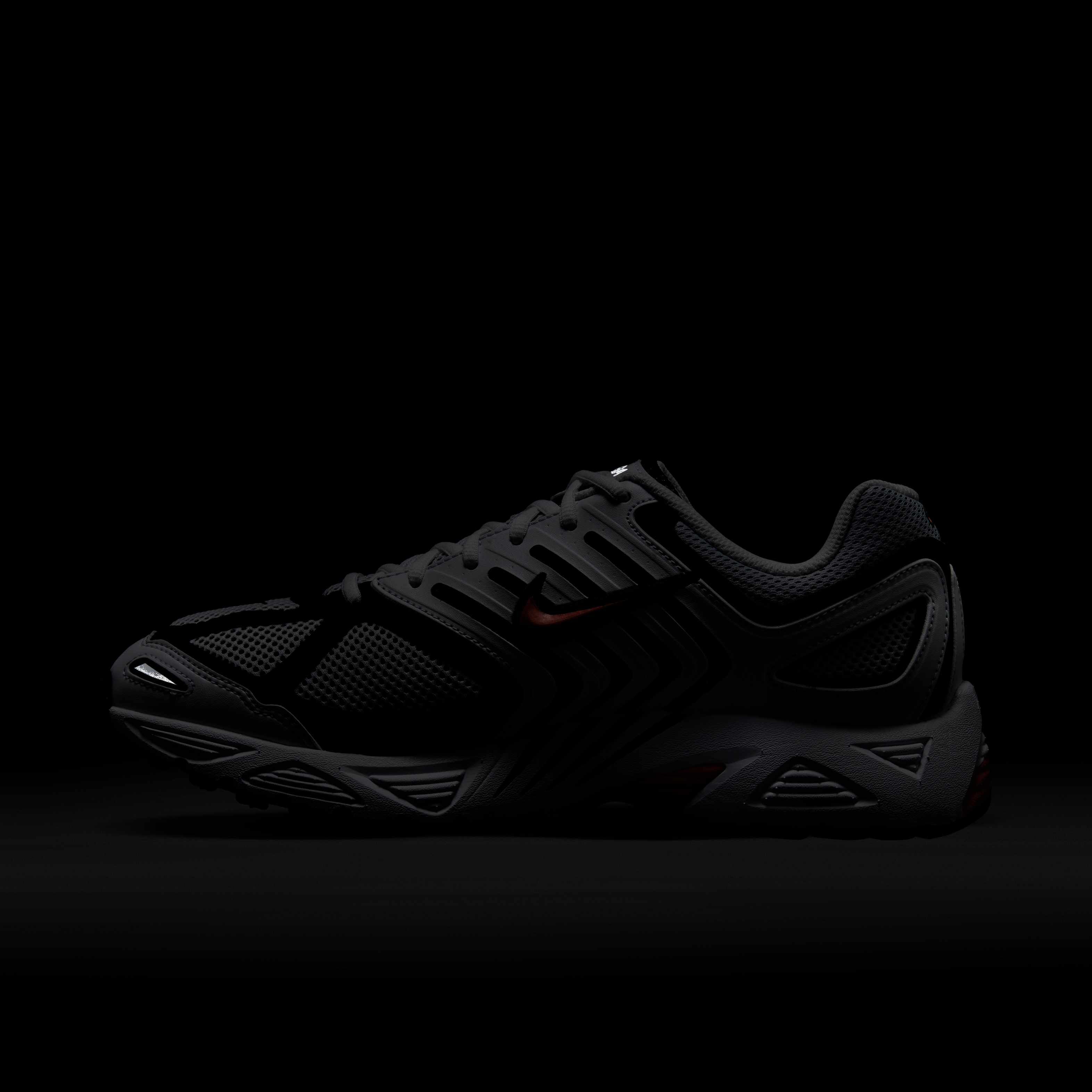 نايكي اير بيجاسوس 2005 image number 11